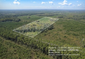 Lot 14 Growing Timbers,CRAWFORDVILLE,Florida 32327,Lots and land,Growing Timbers,363254