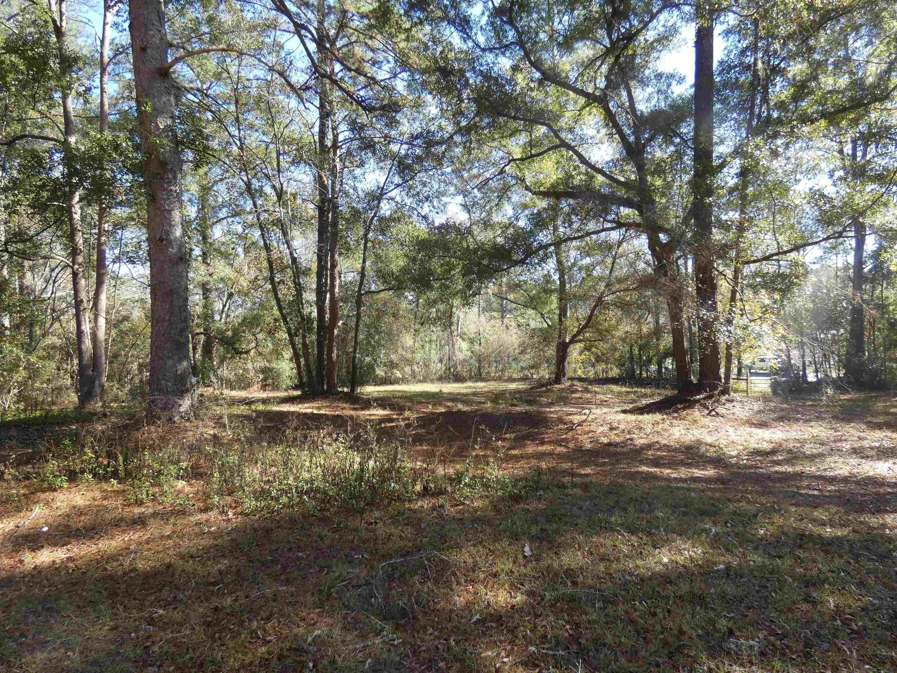 165 Boston,MONTICELLO,Florida 32344,Lots and land,Boston,367224