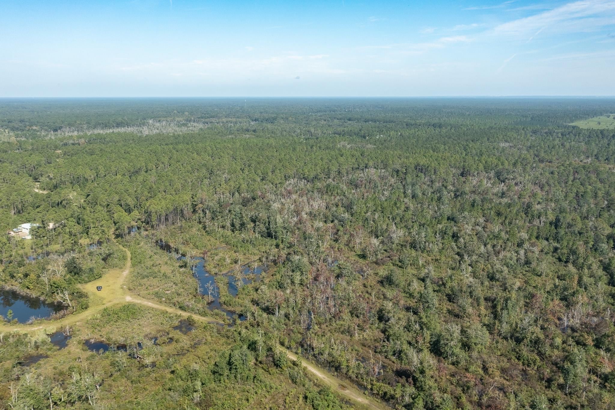 Lot 15 Growing Timbers,CRAWFORDVILLE,Florida 32327,Lots and land,Growing Timbers,363256