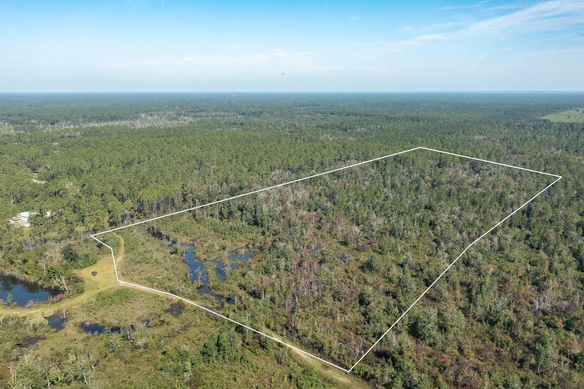 Lot 15 Growing Timbers,CRAWFORDVILLE,Florida 32327,Lots and land,Growing Timbers,363256