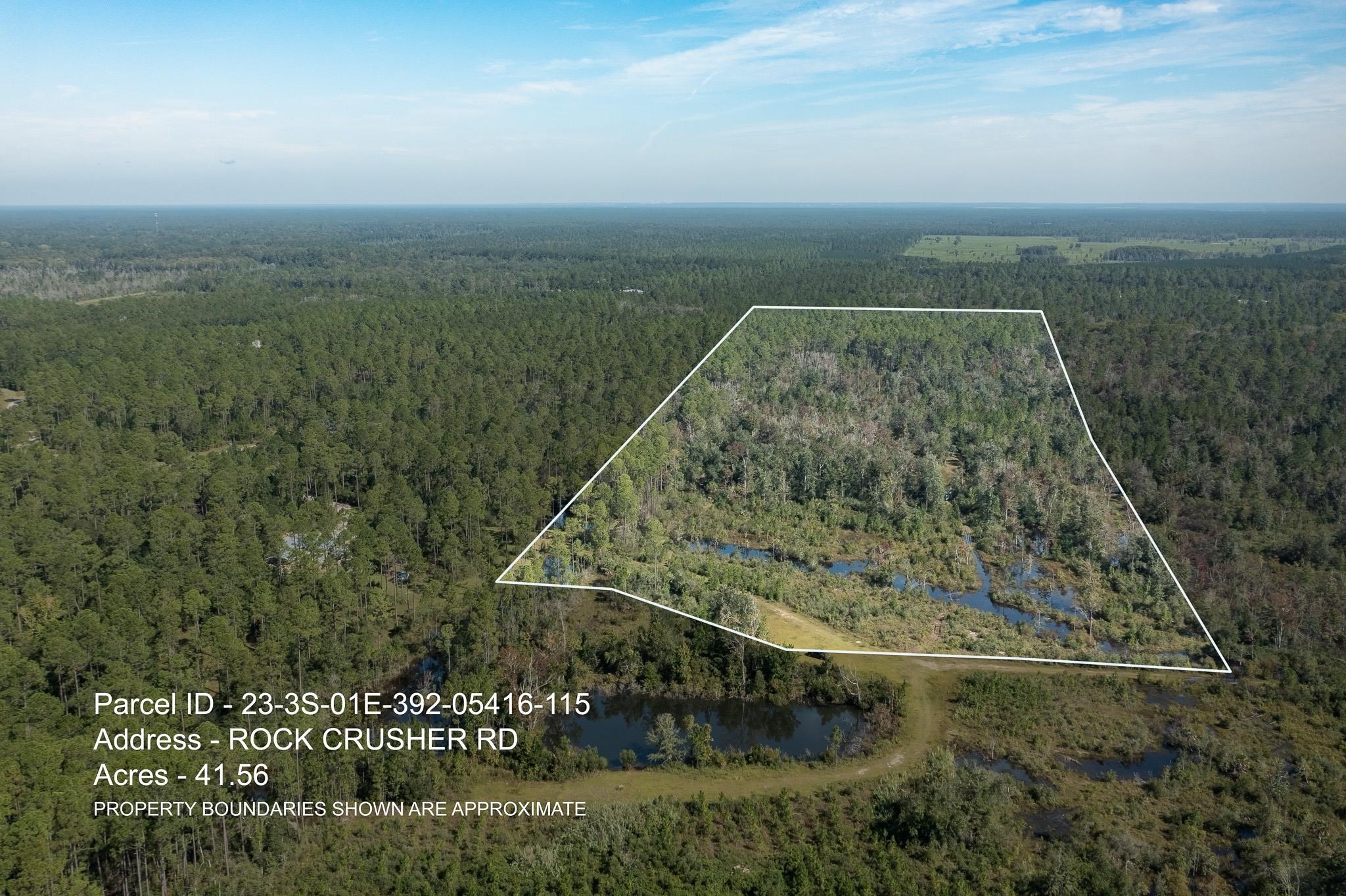 Lot 15 Growing Timbers,CRAWFORDVILLE,Florida 32327,Lots and land,Growing Timbers,363256