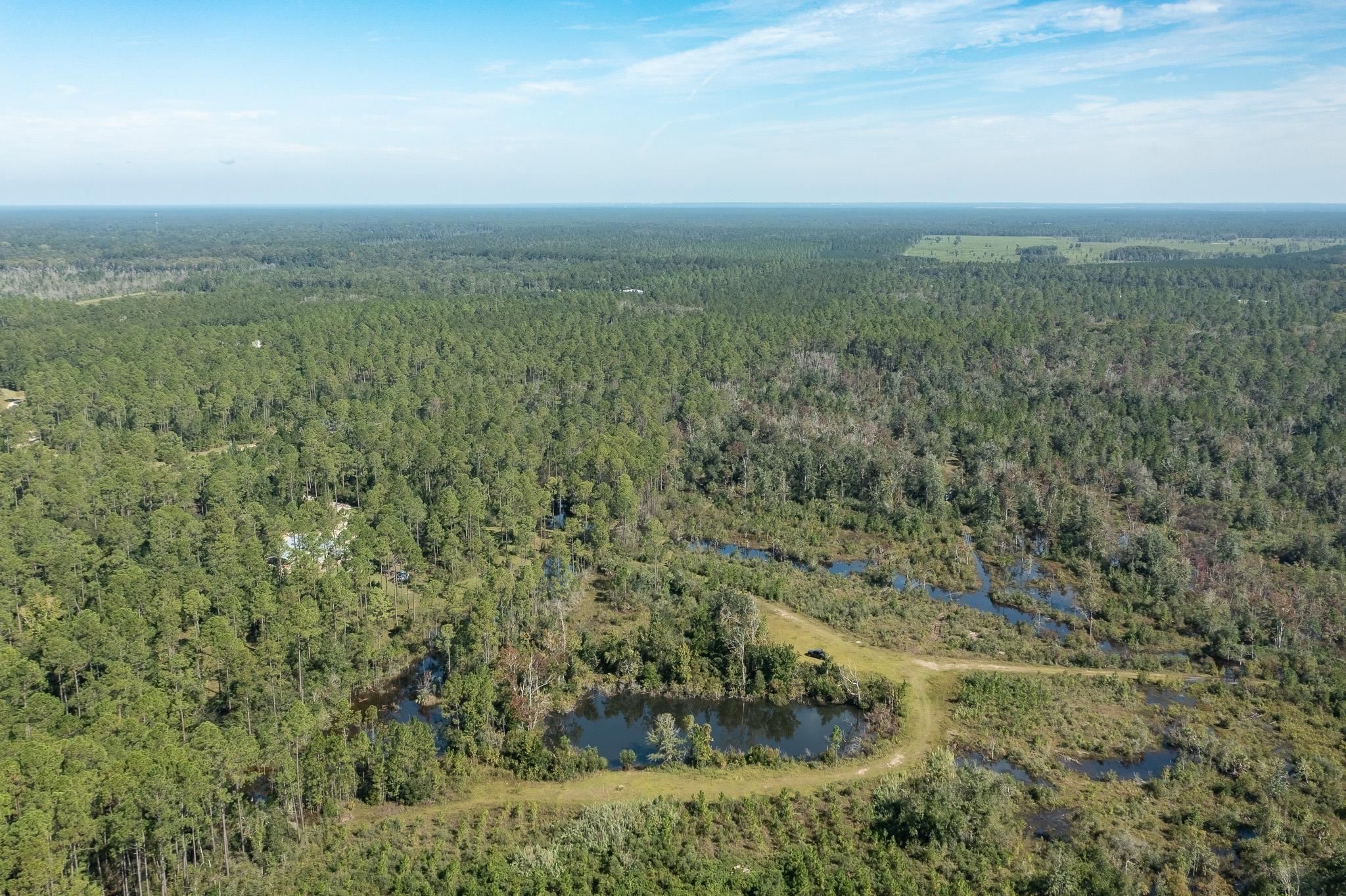 Lot 15 Growing Timbers,CRAWFORDVILLE,Florida 32327,Lots and land,Growing Timbers,363256