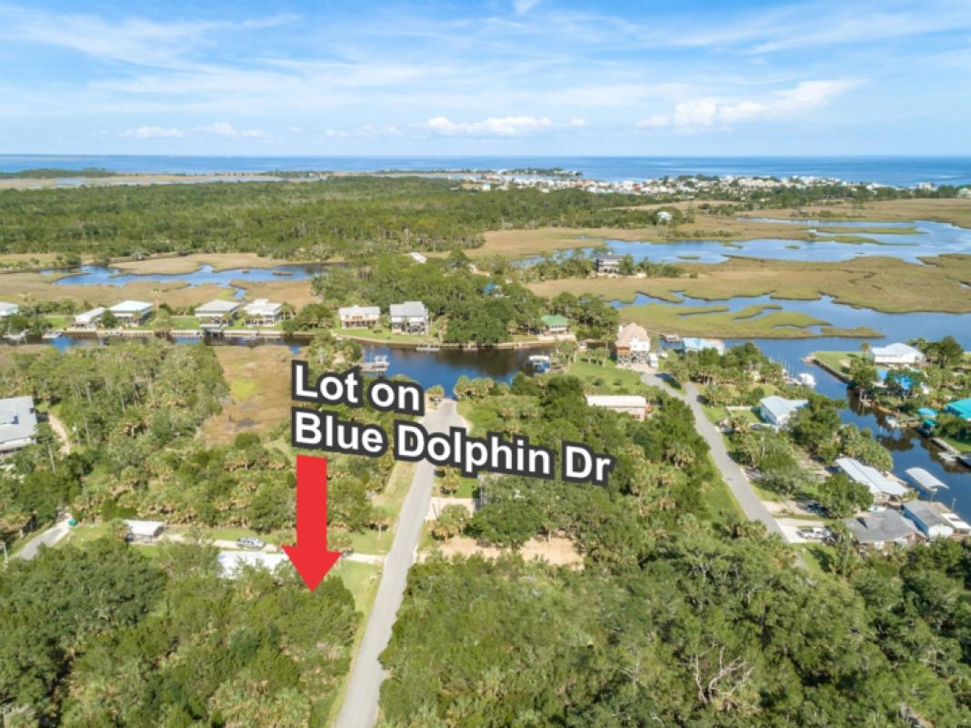 LOT 2 Blue Dolphin,CRAWFORDVILLE,Florida 32327,Lots and land,Blue Dolphin,367239