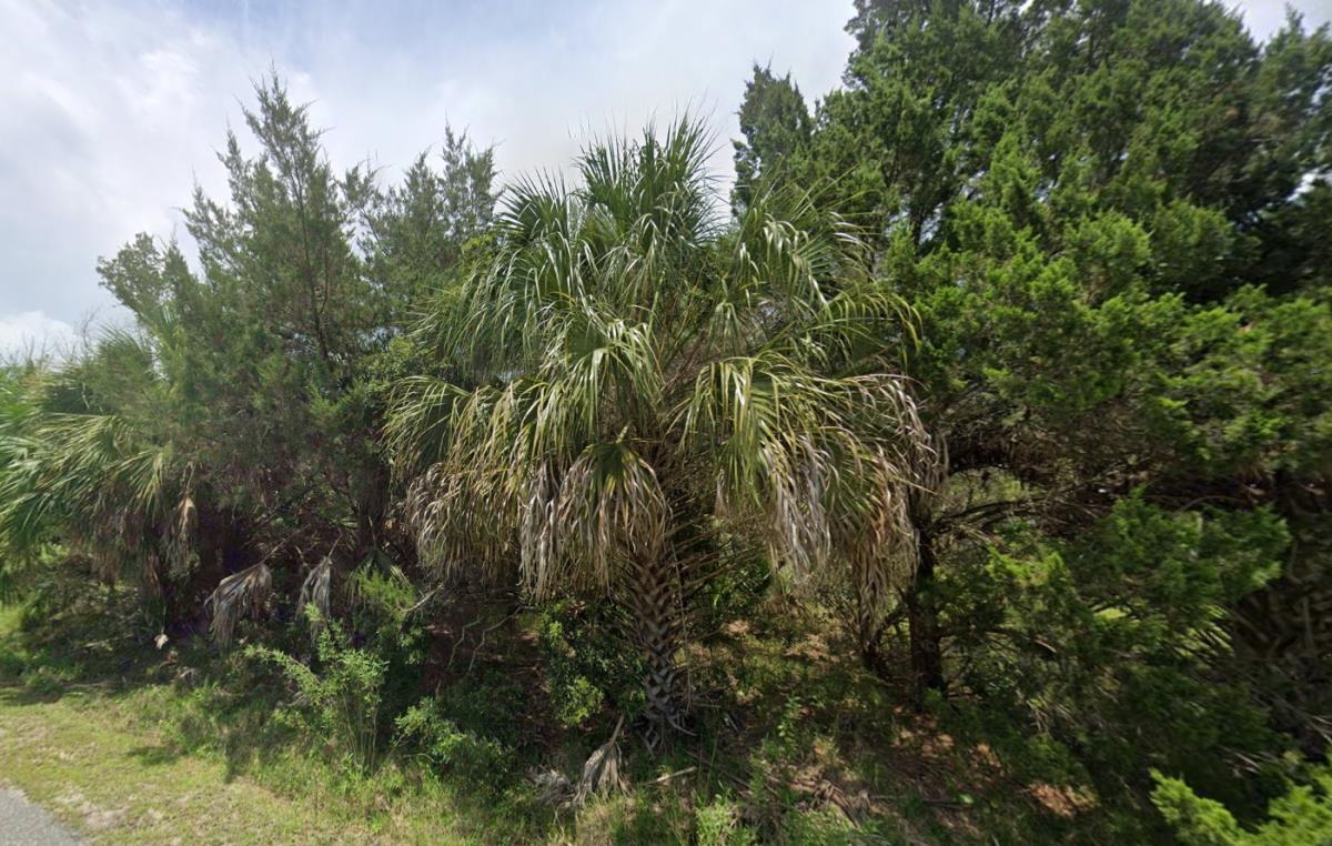 LOT 2 Blue Dolphin,CRAWFORDVILLE,Florida 32327,Lots and land,Blue Dolphin,367239