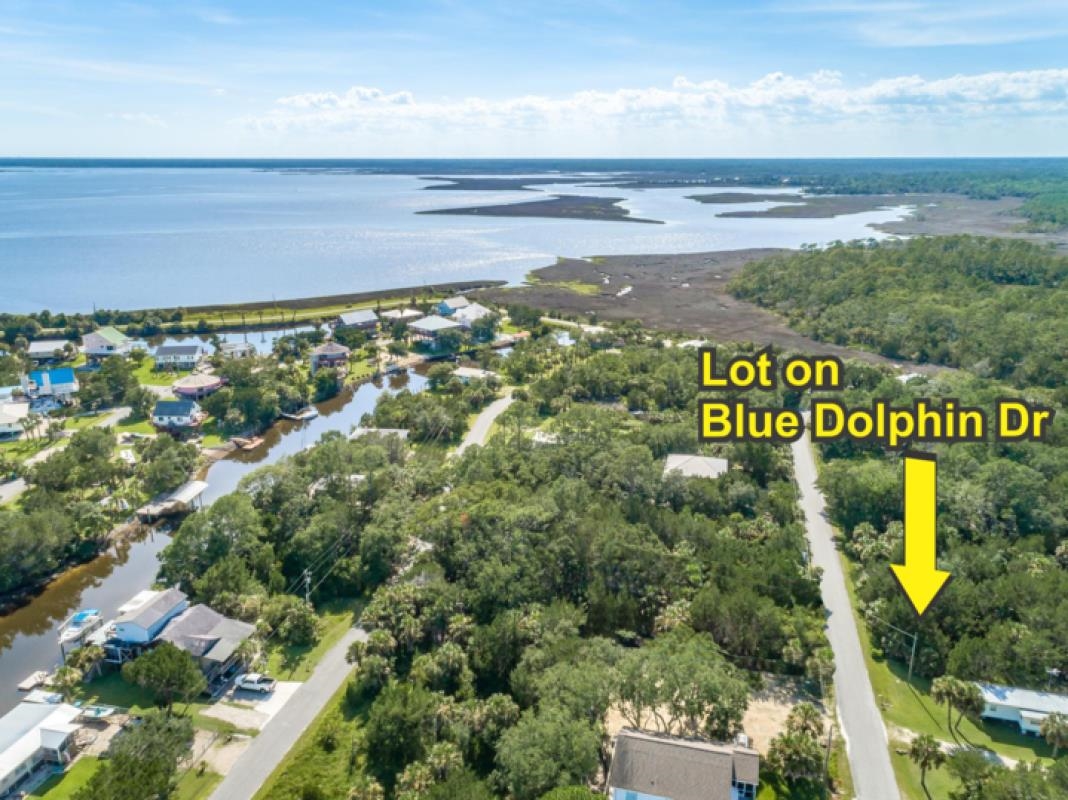 LOT 2 Blue Dolphin,CRAWFORDVILLE,Florida 32327,Lots and land,Blue Dolphin,367239