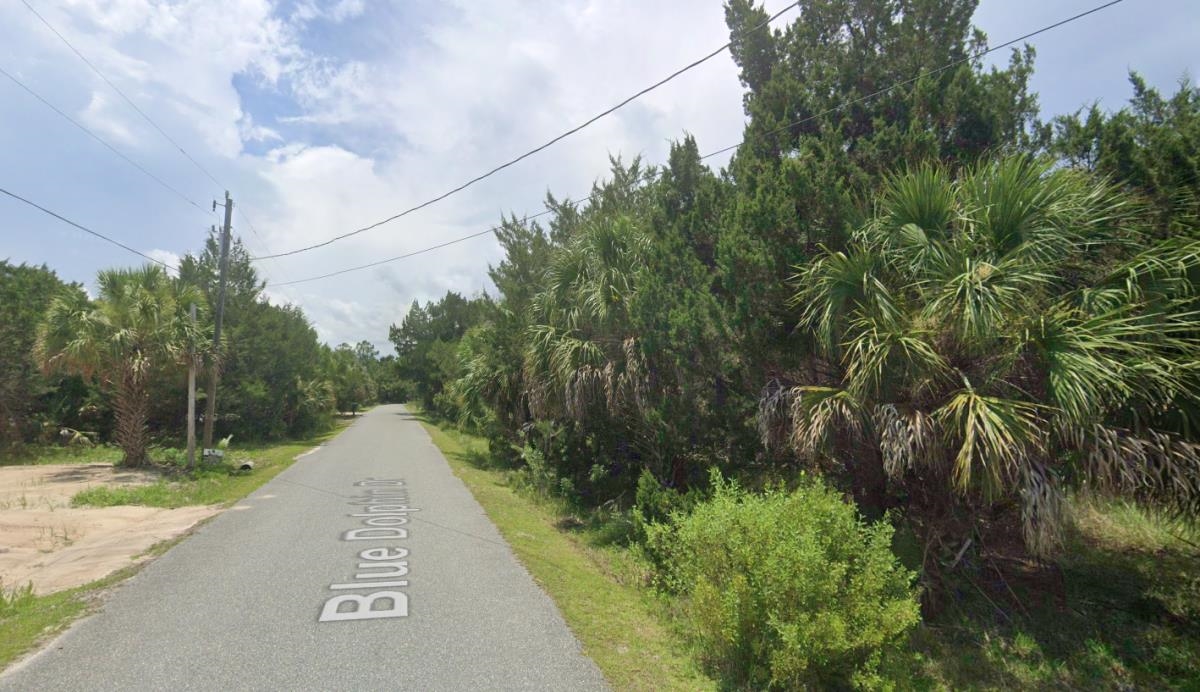 LOT 2 Blue Dolphin,CRAWFORDVILLE,Florida 32327,Lots and land,Blue Dolphin,367239