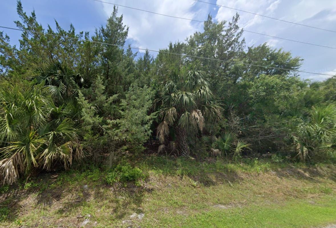 LOT 14 Gator,WAKULLA,Florida 32327,Lots and land,Gator,367241