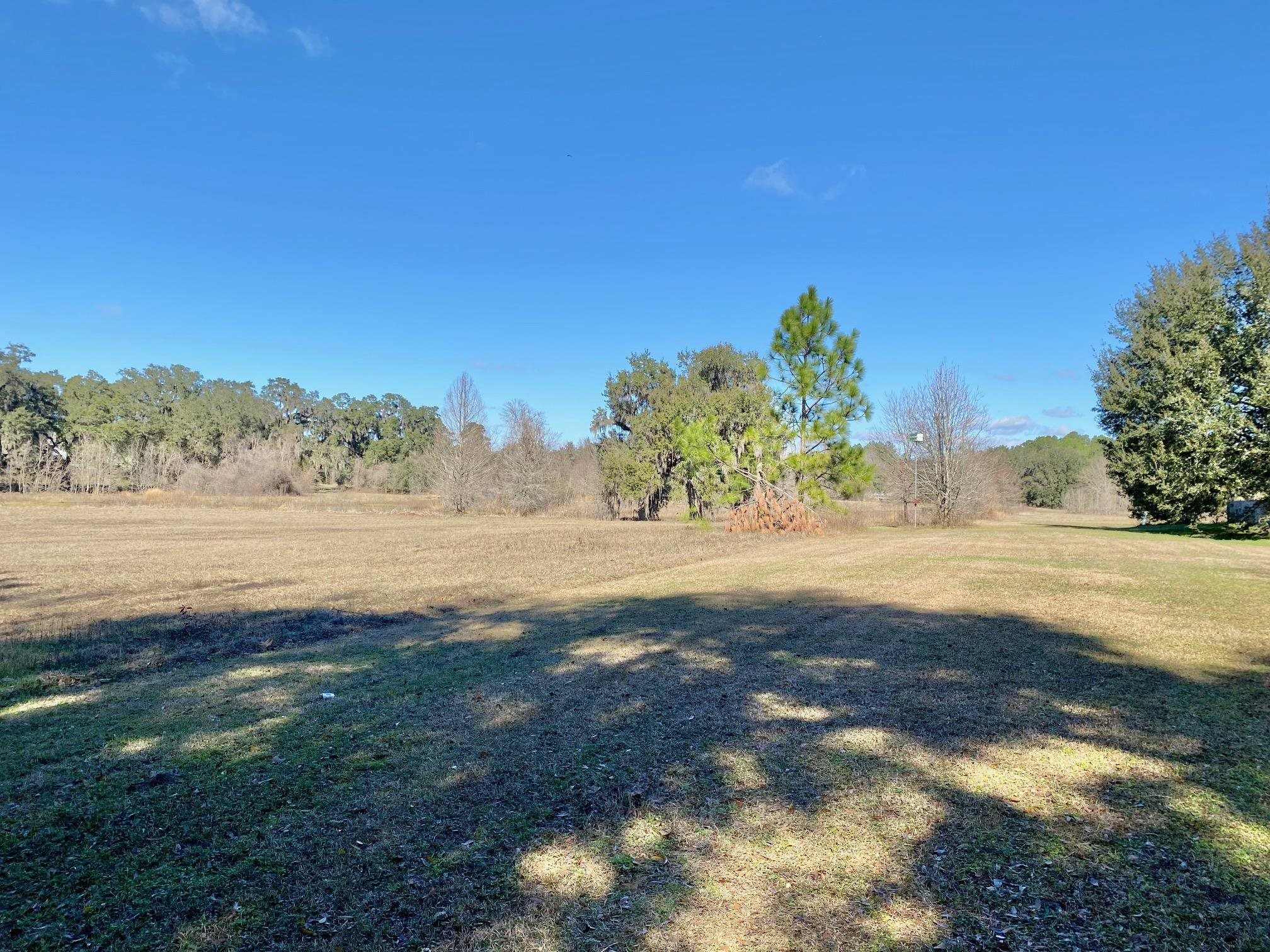 196 Spring Gate Walk,TALLAHASSEE,Florida 32317,4 Bedrooms Bedrooms,2 BathroomsBathrooms,Detached single family,196 Spring Gate Walk,369277