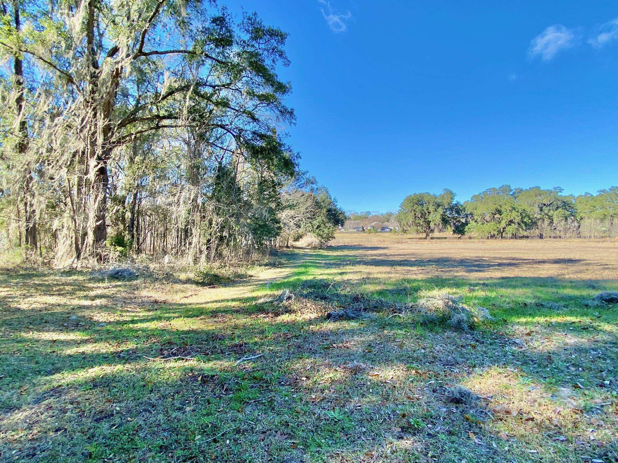 196 Spring Gate Walk,TALLAHASSEE,Florida 32317,4 Bedrooms Bedrooms,2 BathroomsBathrooms,Detached single family,196 Spring Gate Walk,369277