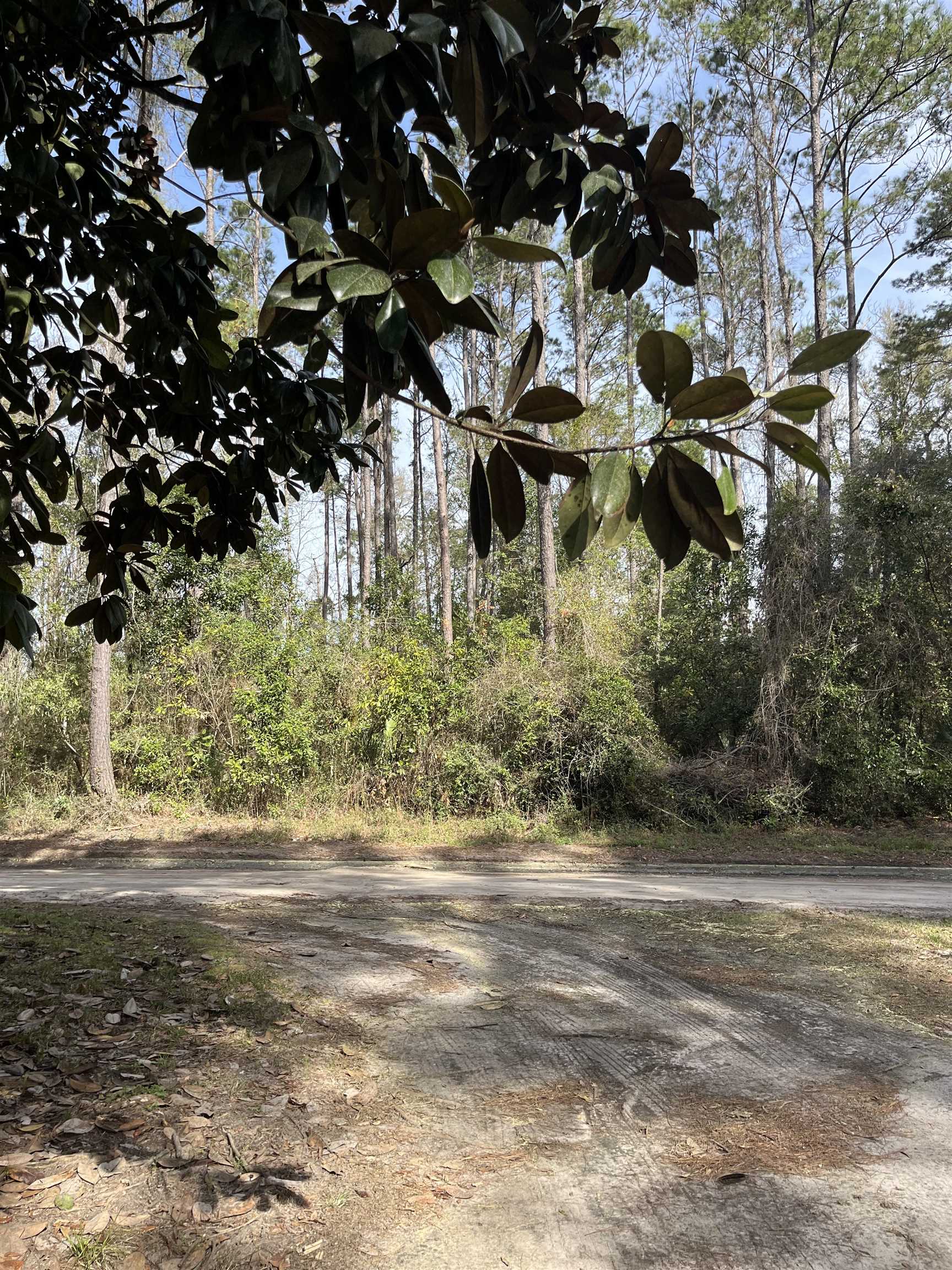 xx Brown Donaldson,CRAWFORDVILLE,Florida 32327,Lots and land,Brown Donaldson,369556