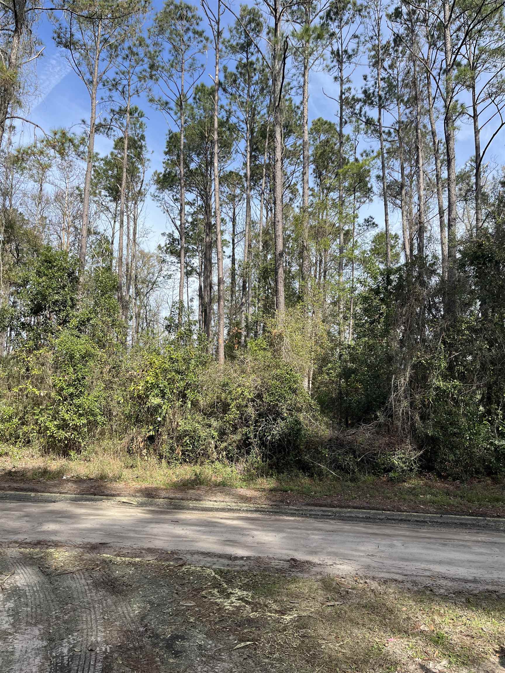 xx Brown Donaldson,CRAWFORDVILLE,Florida 32327,Lots and land,Brown Donaldson,369556