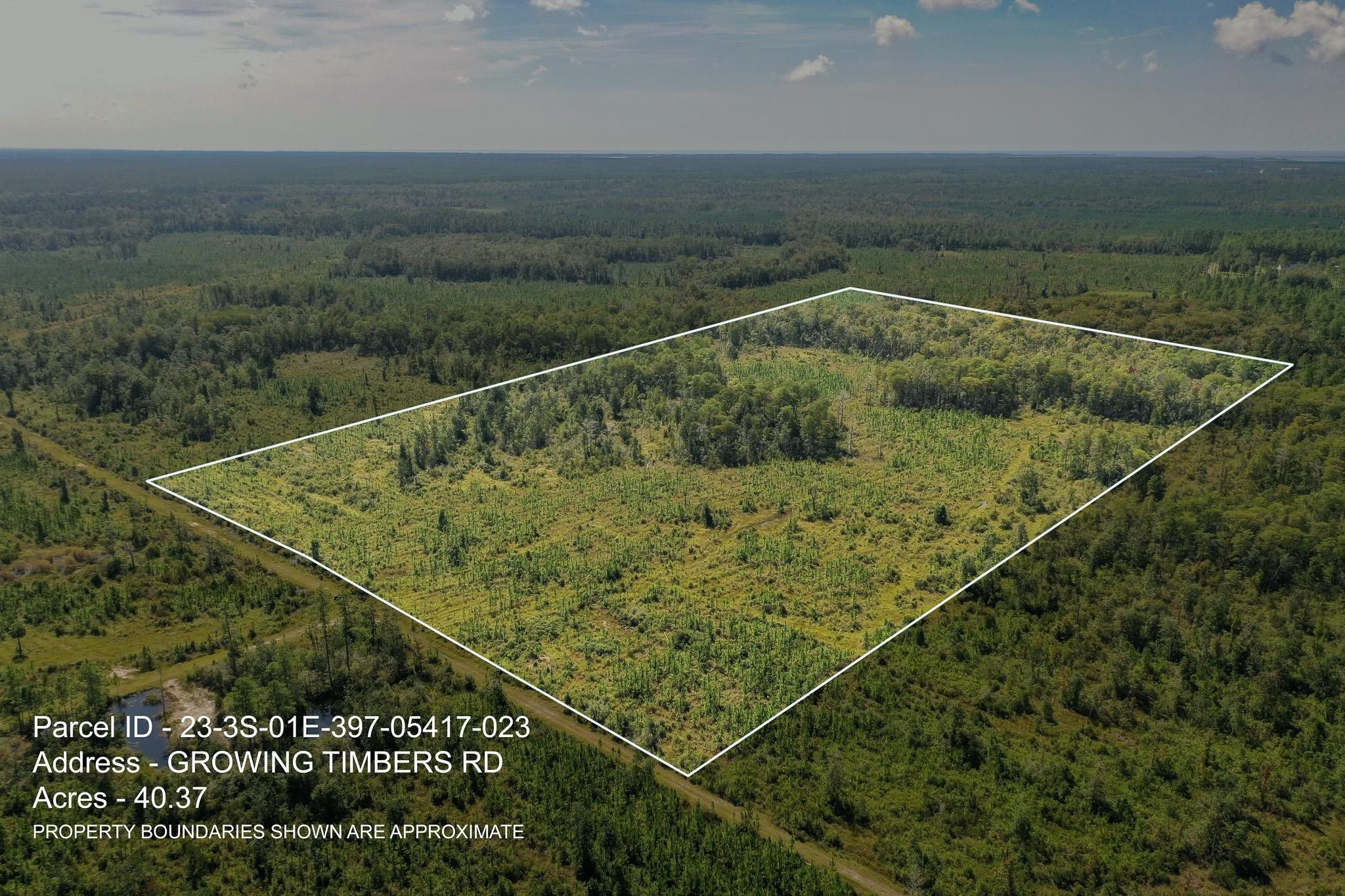 Lot 23 Growing Timbers,CRAWFORDVILLE,Florida 32327,Lots and land,Growing Timbers,363311