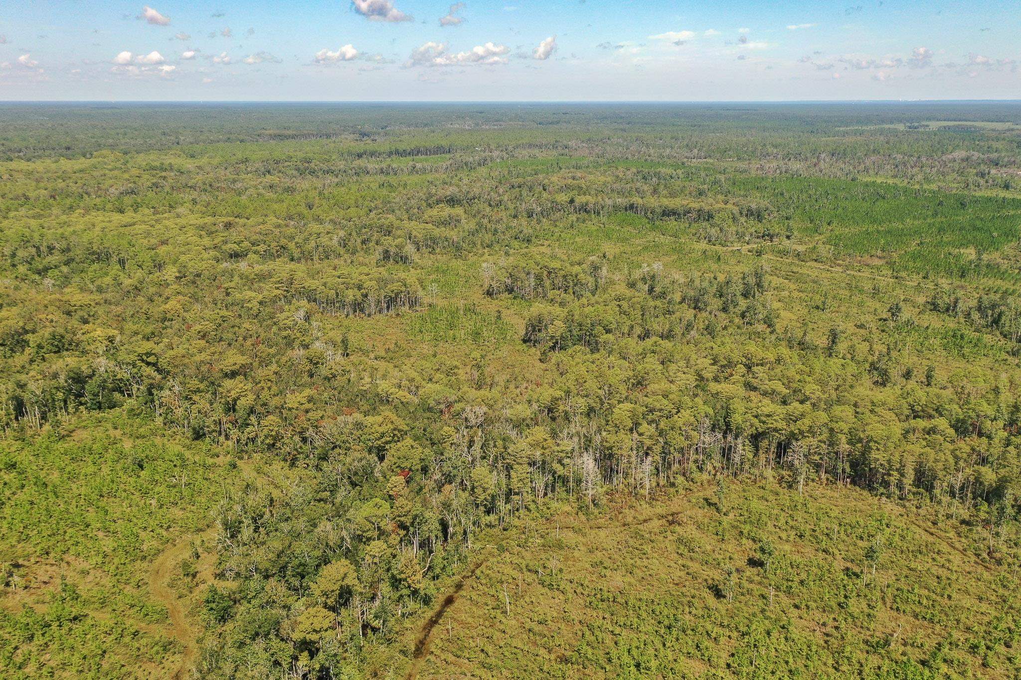 Lot 23 Growing Timbers,CRAWFORDVILLE,Florida 32327,Lots and land,Growing Timbers,363311