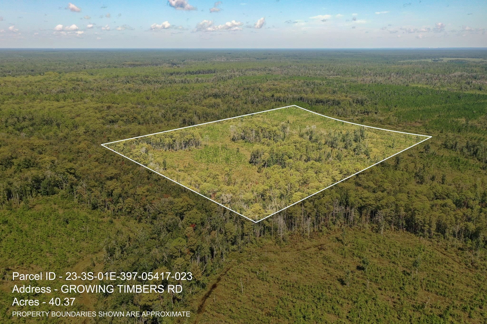 Lot 23 Growing Timbers,CRAWFORDVILLE,Florida 32327,Lots and land,Growing Timbers,363311