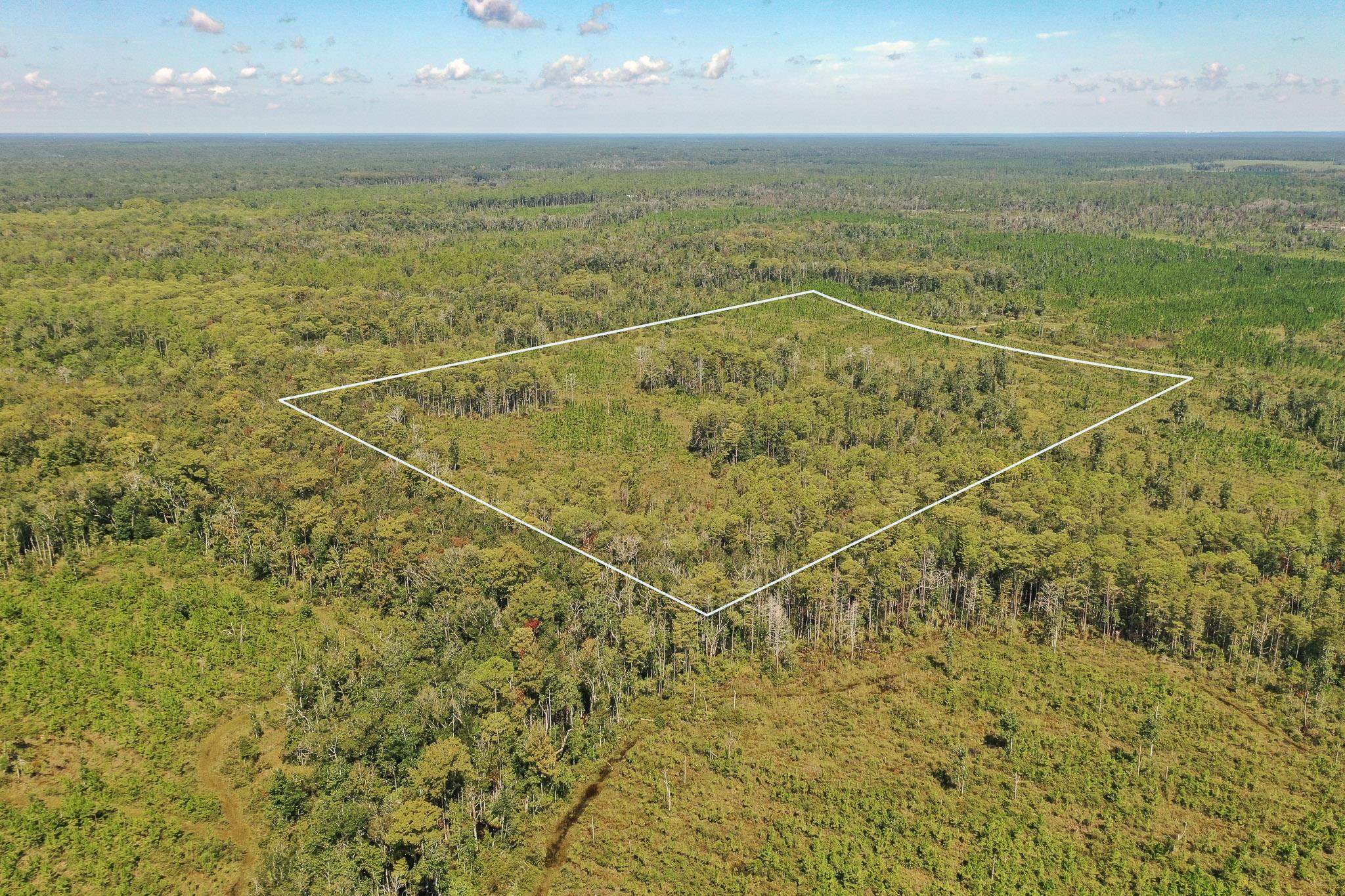 Lot 23 Growing Timbers,CRAWFORDVILLE,Florida 32327,Lots and land,Growing Timbers,363311