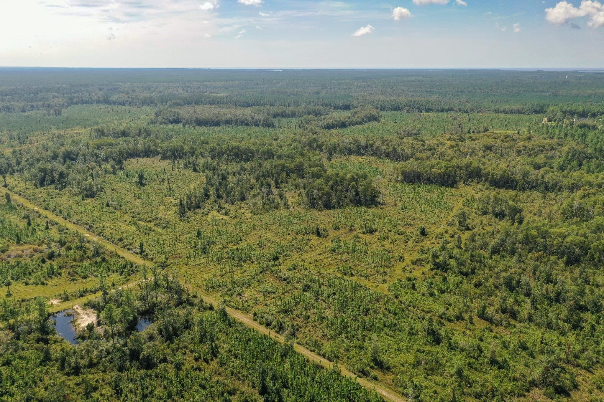 Lot 23 Growing Timbers,CRAWFORDVILLE,Florida 32327,Lots and land,Growing Timbers,363311