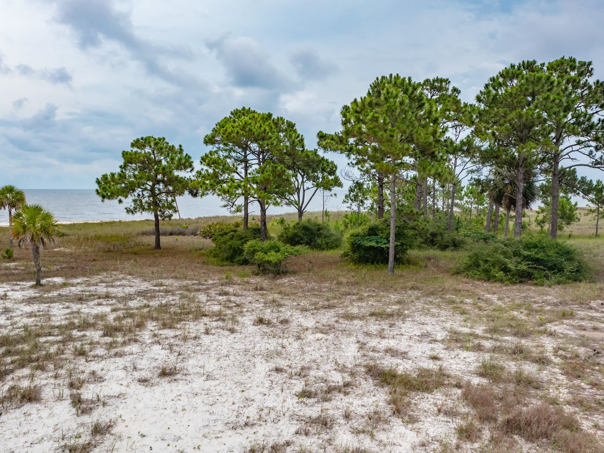 710 Bald Point,BALD POINT,Florida 32326,Lots and land,Bald Point,363381