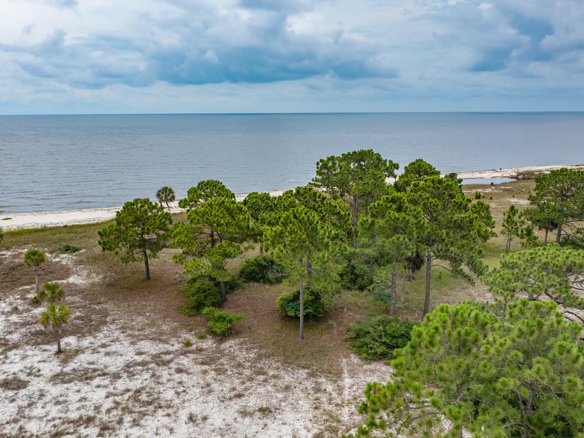 710 Bald Point,BALD POINT,Florida 32326,Lots and land,Bald Point,363381