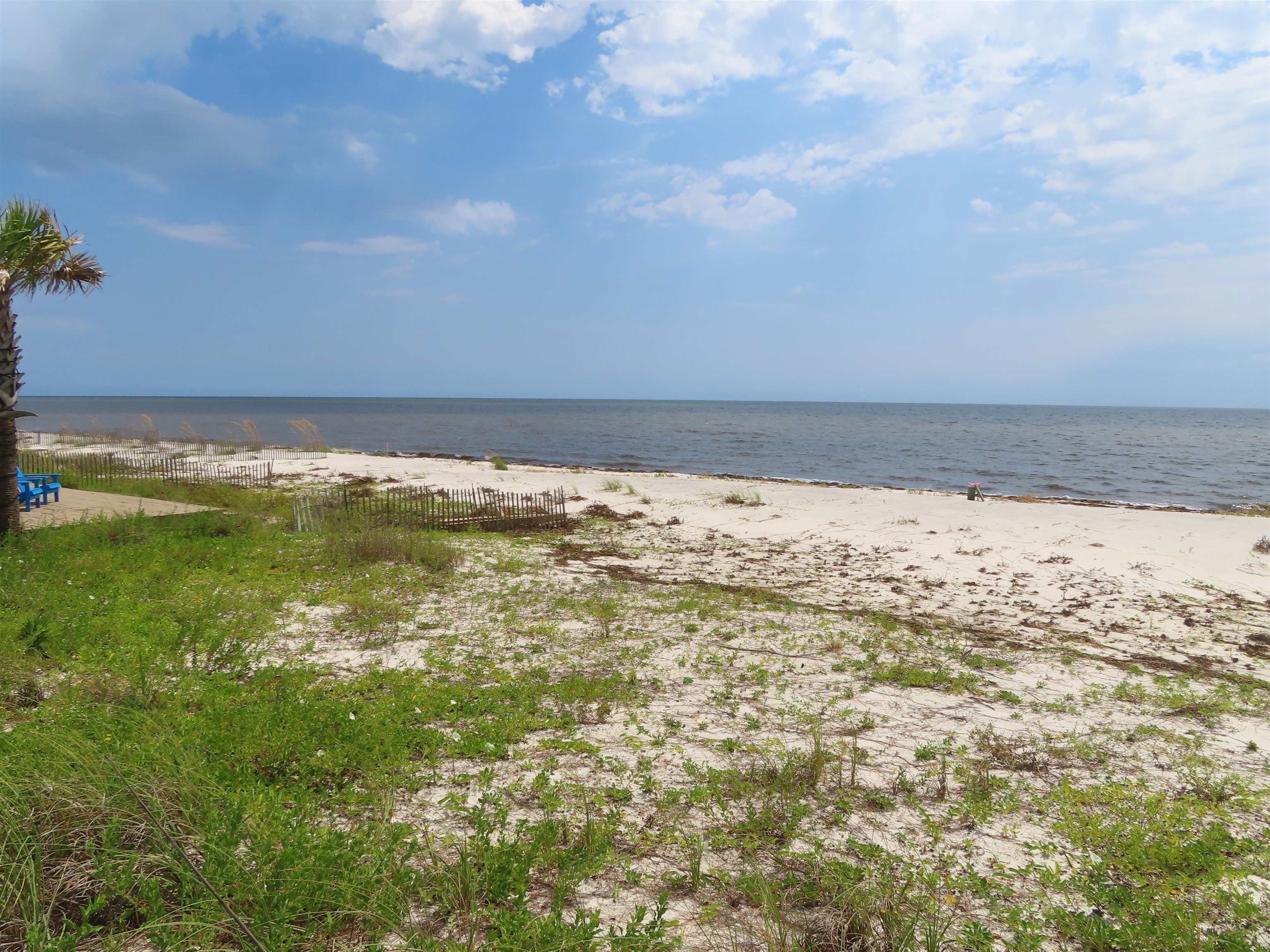 1187 Alligator,ALLIGATOR POINT,Florida 32346,Lots and land,Alligator,363382