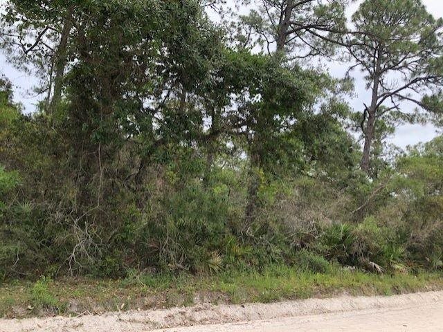 Lot 8 Surf,OCHLOCKONEE BAY,Florida 32346,Lots and land,Surf,363411