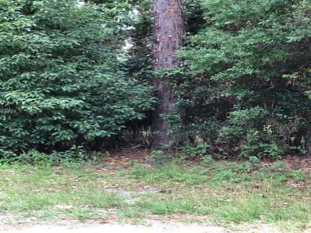 Lot 8 Surf,OCHLOCKONEE BAY,Florida 32346,Lots and land,Surf,363411