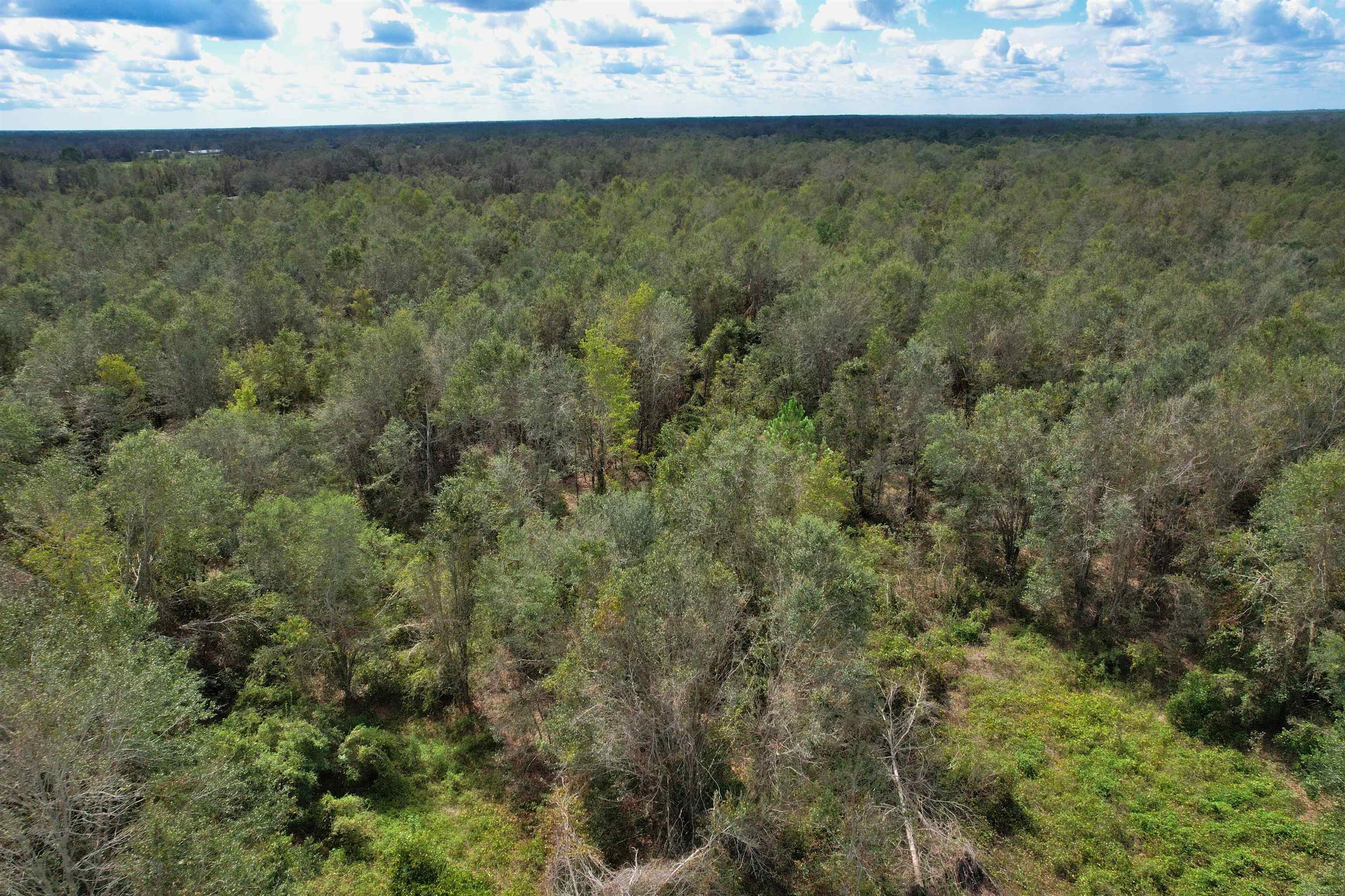 Kachina,LEE,Florida 32059,Lots and land,Kachina,363563