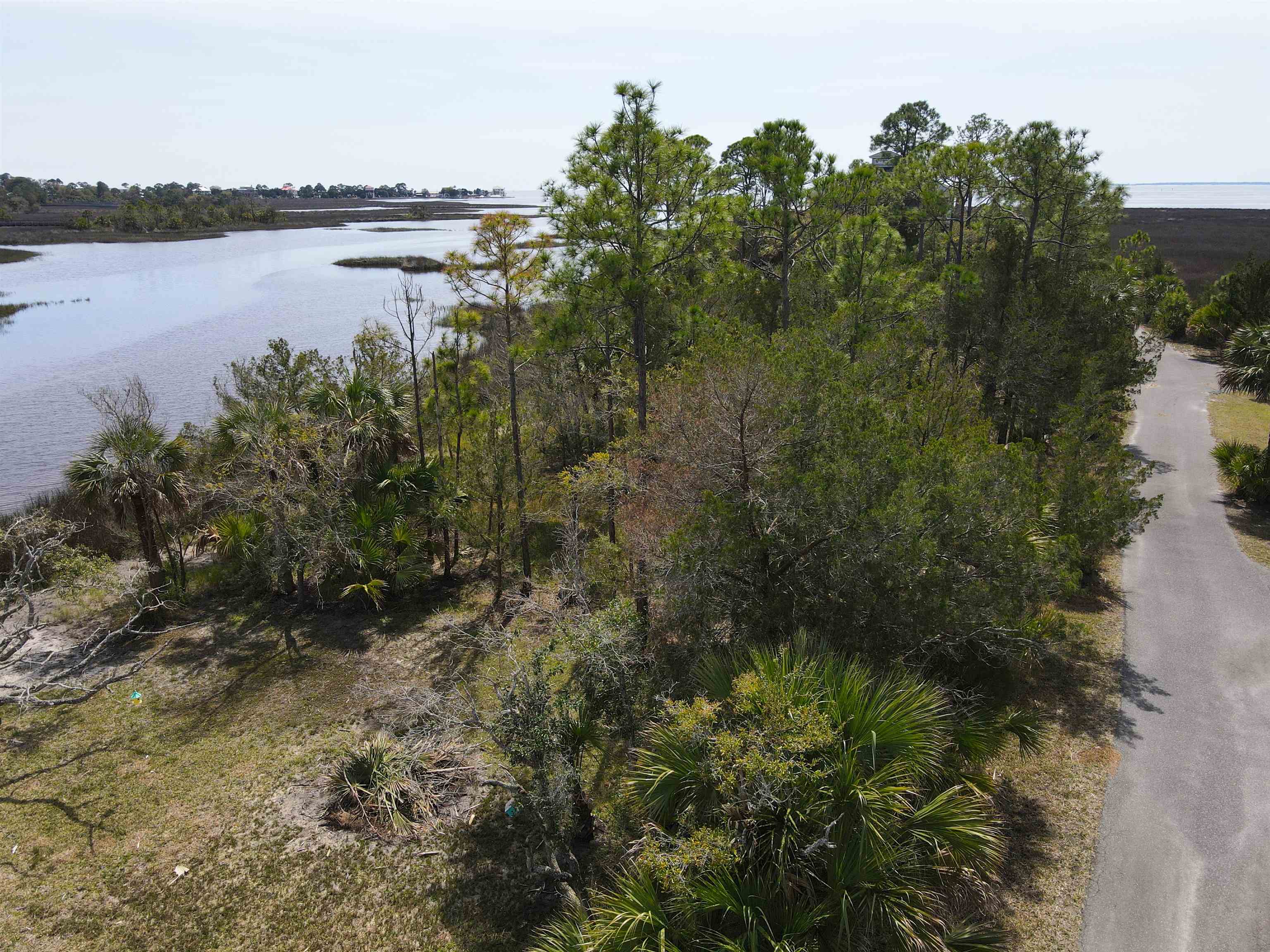 Lot 12 Carrol,CRAWFORDVILLE,Florida 32327,Lots and land,Carrol,369667