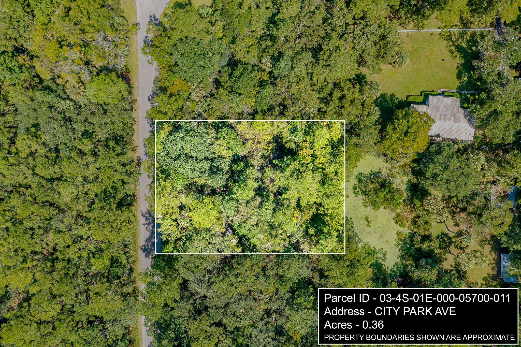 xx City Park,ST MARKS,Florida 32355,Lots and land,City Park,363582