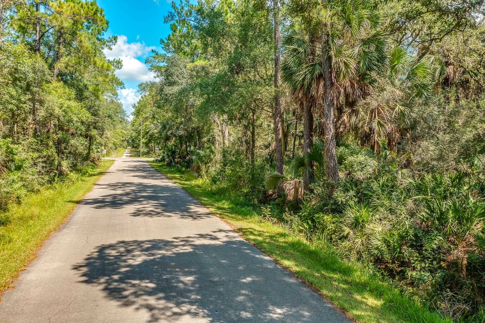 xx City Park,ST MARKS,Florida 32355,Lots and land,City Park,363582