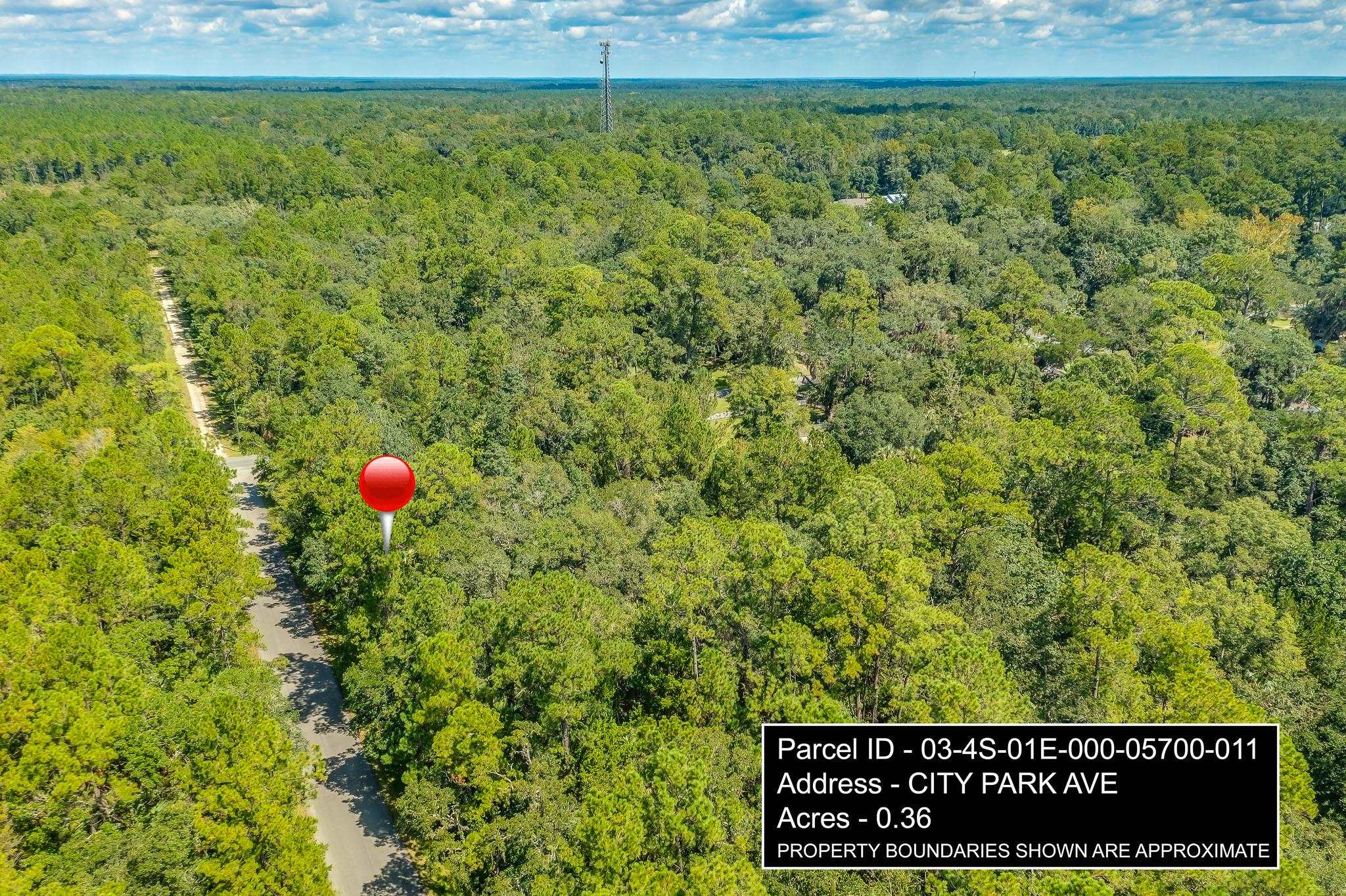 xx City Park,ST MARKS,Florida 32355,Lots and land,City Park,363582