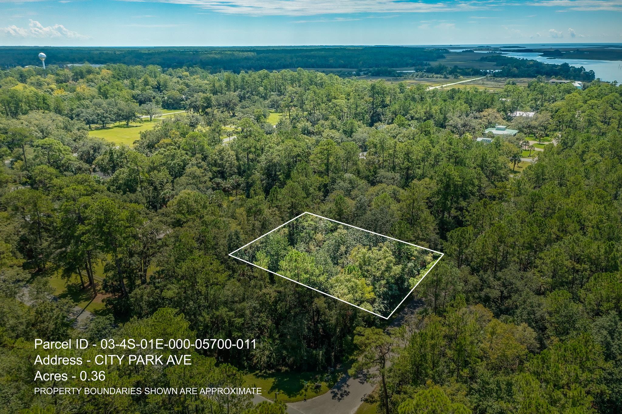 xx City Park,ST MARKS,Florida 32355,Lots and land,City Park,363582