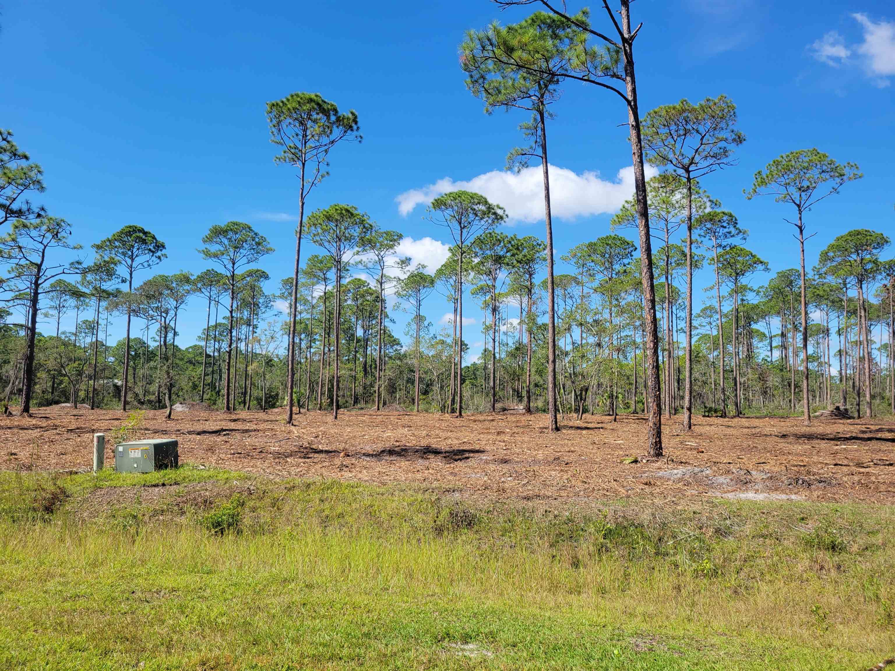 Lot 17 Striffler,OCHLOCKONEE BAY,Florida 32346,Lots and land,Striffler,369675