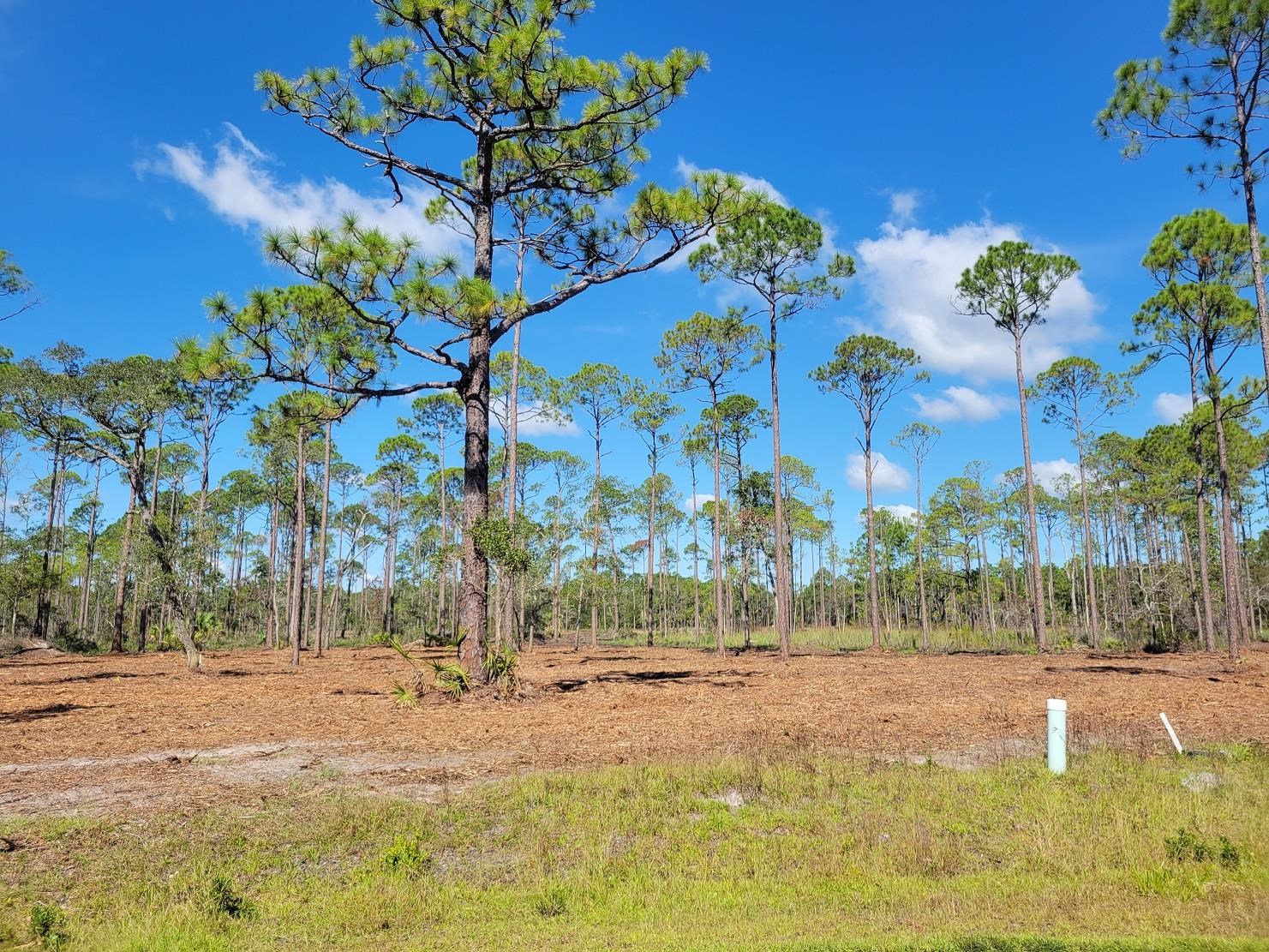 Lot 17 Striffler,OCHLOCKONEE BAY,Florida 32346,Lots and land,Striffler,369675