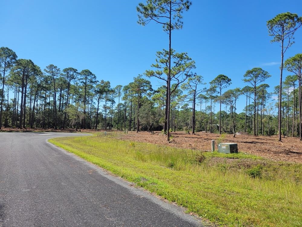 Lot 17 Striffler,OCHLOCKONEE BAY,Florida 32346,Lots and land,Striffler,369675