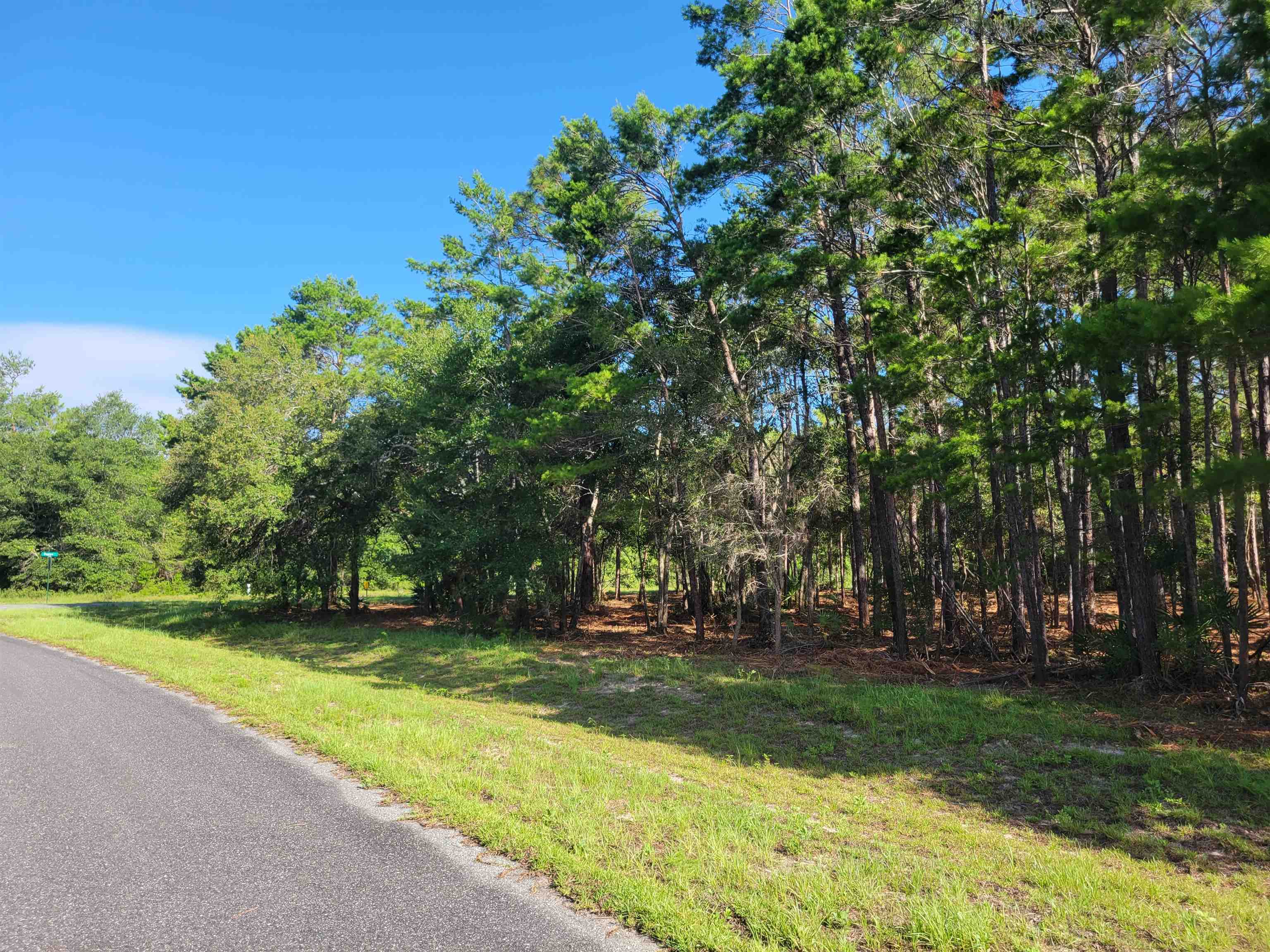 Lot 17 Striffler,OCHLOCKONEE BAY,Florida 32346,Lots and land,Striffler,369675