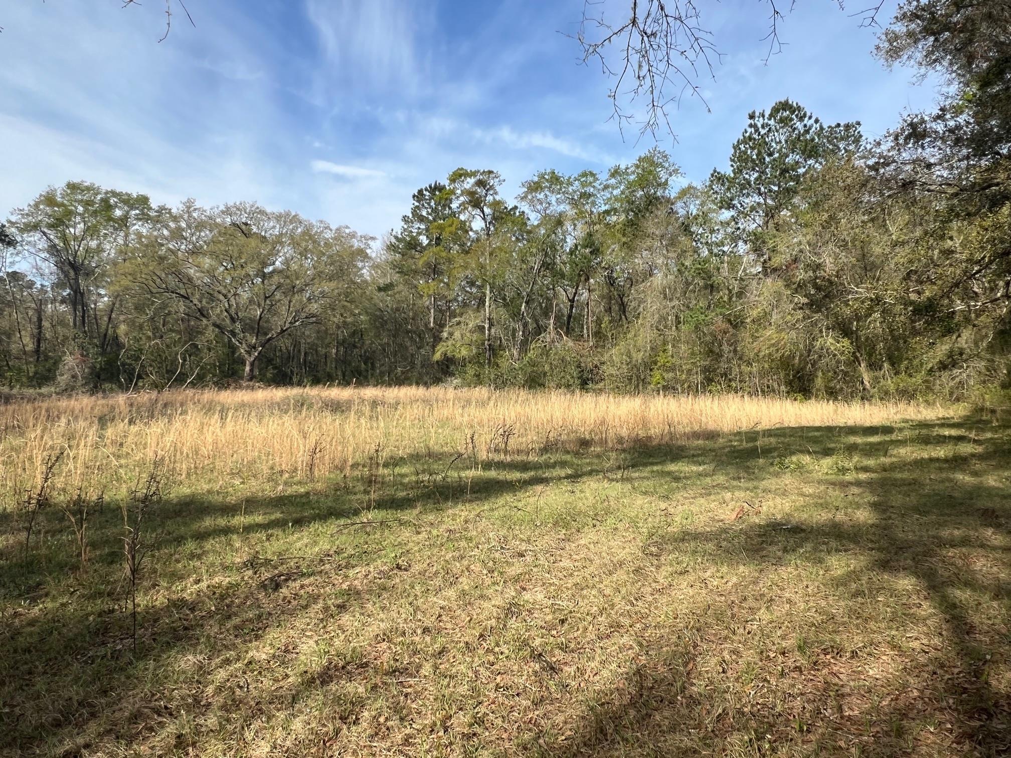 494 Ashville Highlands,GREENVILLE,Florida 32331,Lots and land,Ashville Highlands,369676