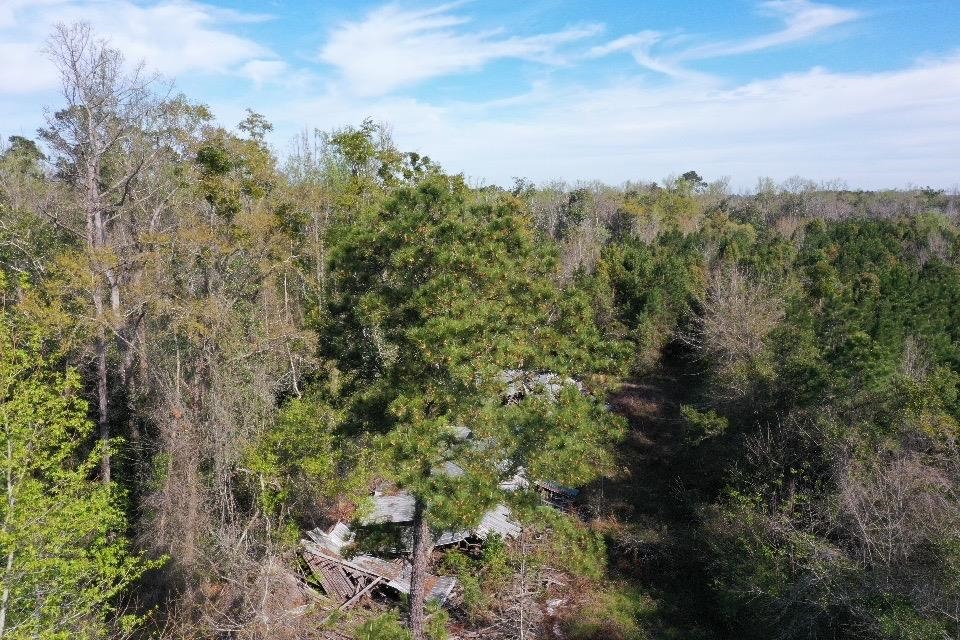 XX Sycamore,GREENSBORO,Florida 32330,Lots and land,Sycamore,369730