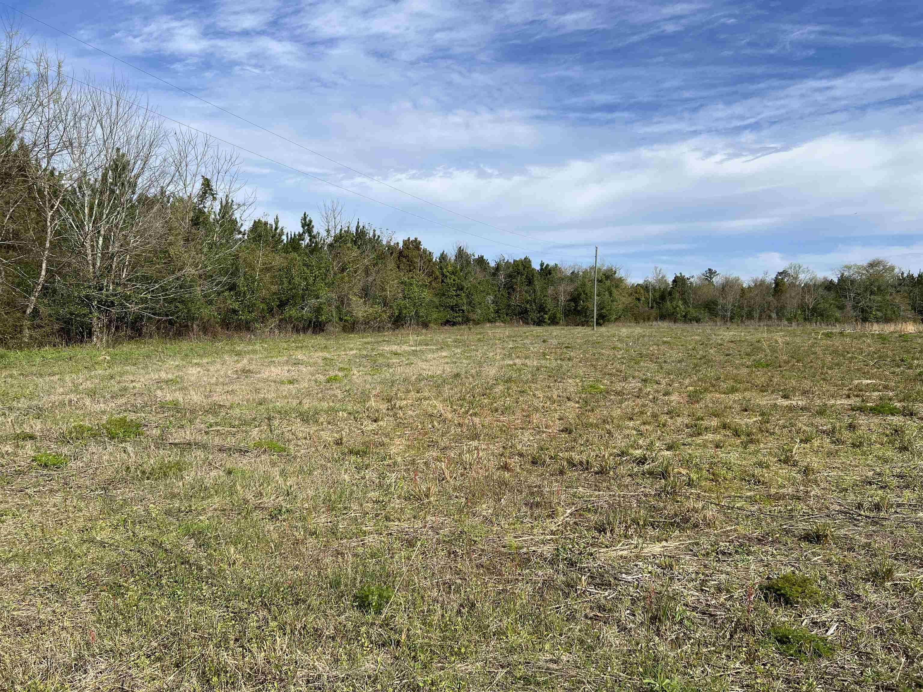 XX Sycamore,GREENSBORO,Florida 32330,Lots and land,Sycamore,369730