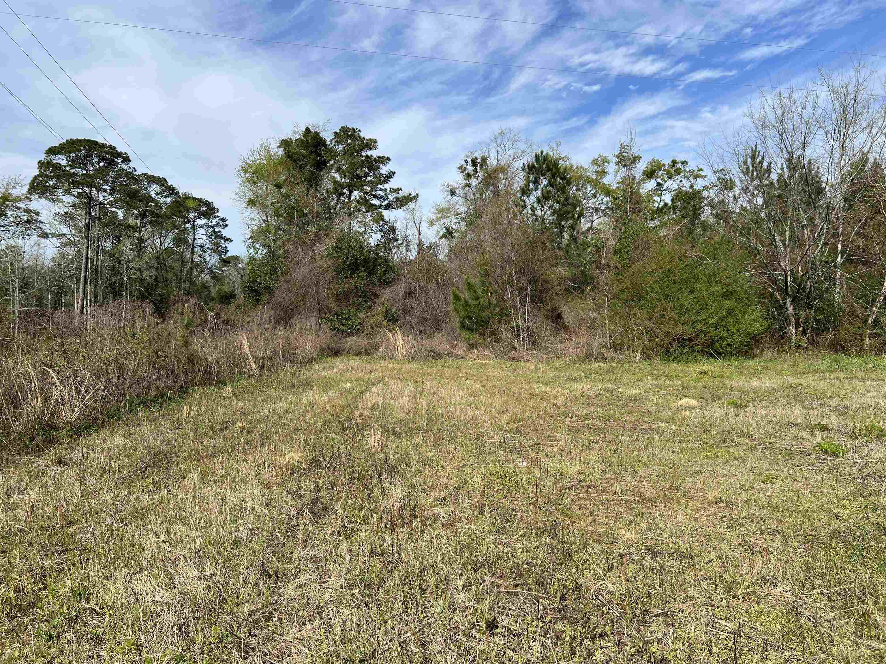 XX Sycamore,GREENSBORO,Florida 32330,Lots and land,Sycamore,369730