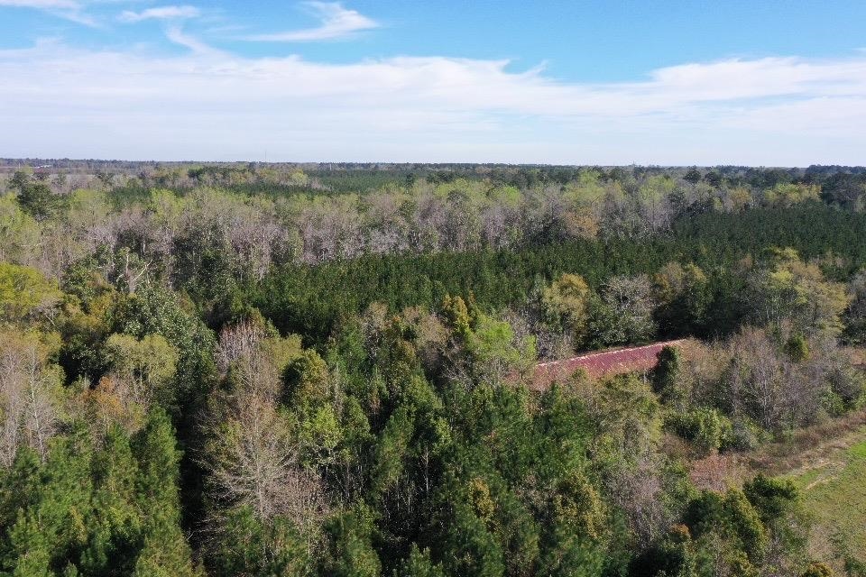 XX Sycamore,GREENSBORO,Florida 32330,Lots and land,Sycamore,369730