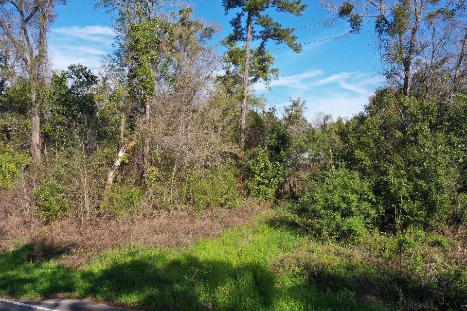 XX Sycamore,GREENSBORO,Florida 32330,Lots and land,Sycamore,369730