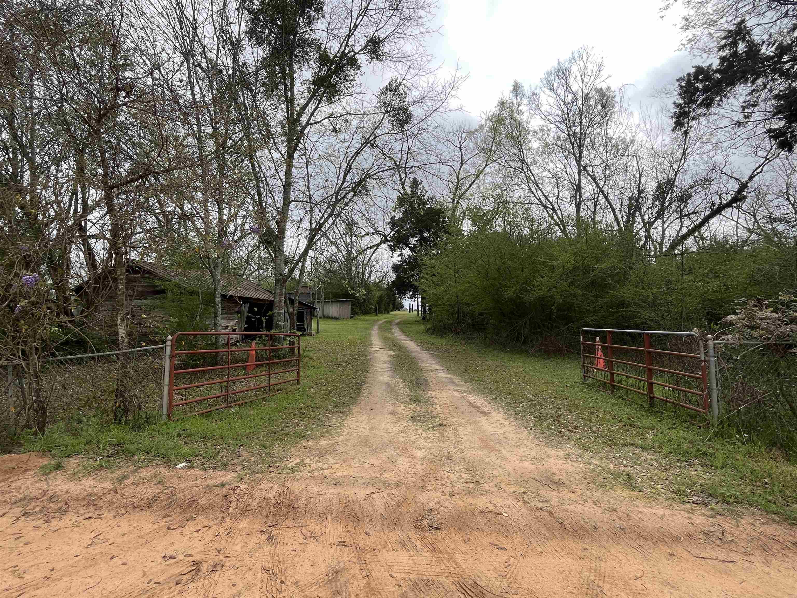 522 JEP Martin Road,QUINCY,Florida 32351,2 Bedrooms Bedrooms,1 BathroomBathrooms,Detached single family,522 JEP Martin Road,369762