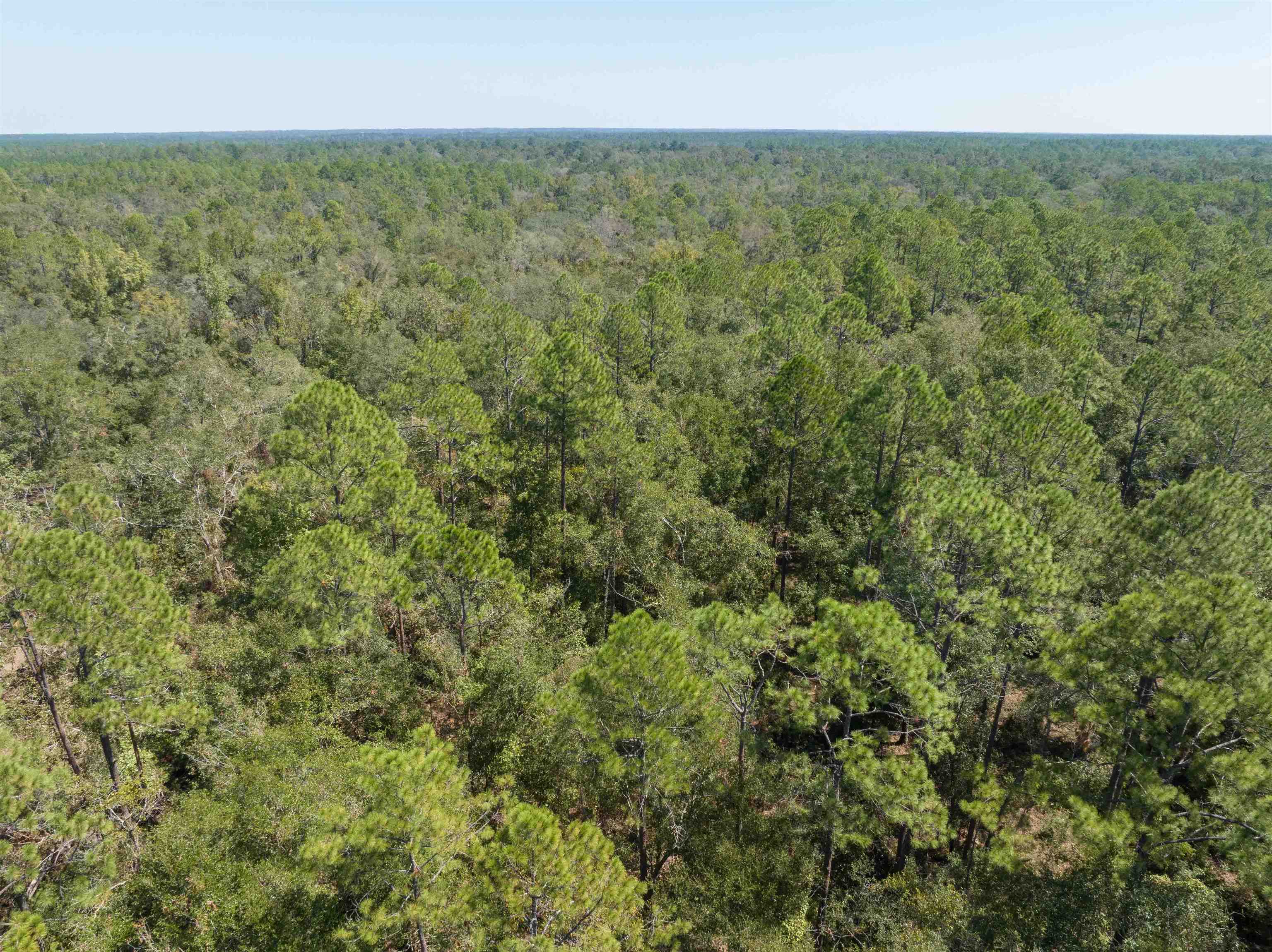 Vacant Blue Ridge Landing,LEE,Florida 32059,Lots and land,Blue Ridge Landing,363694