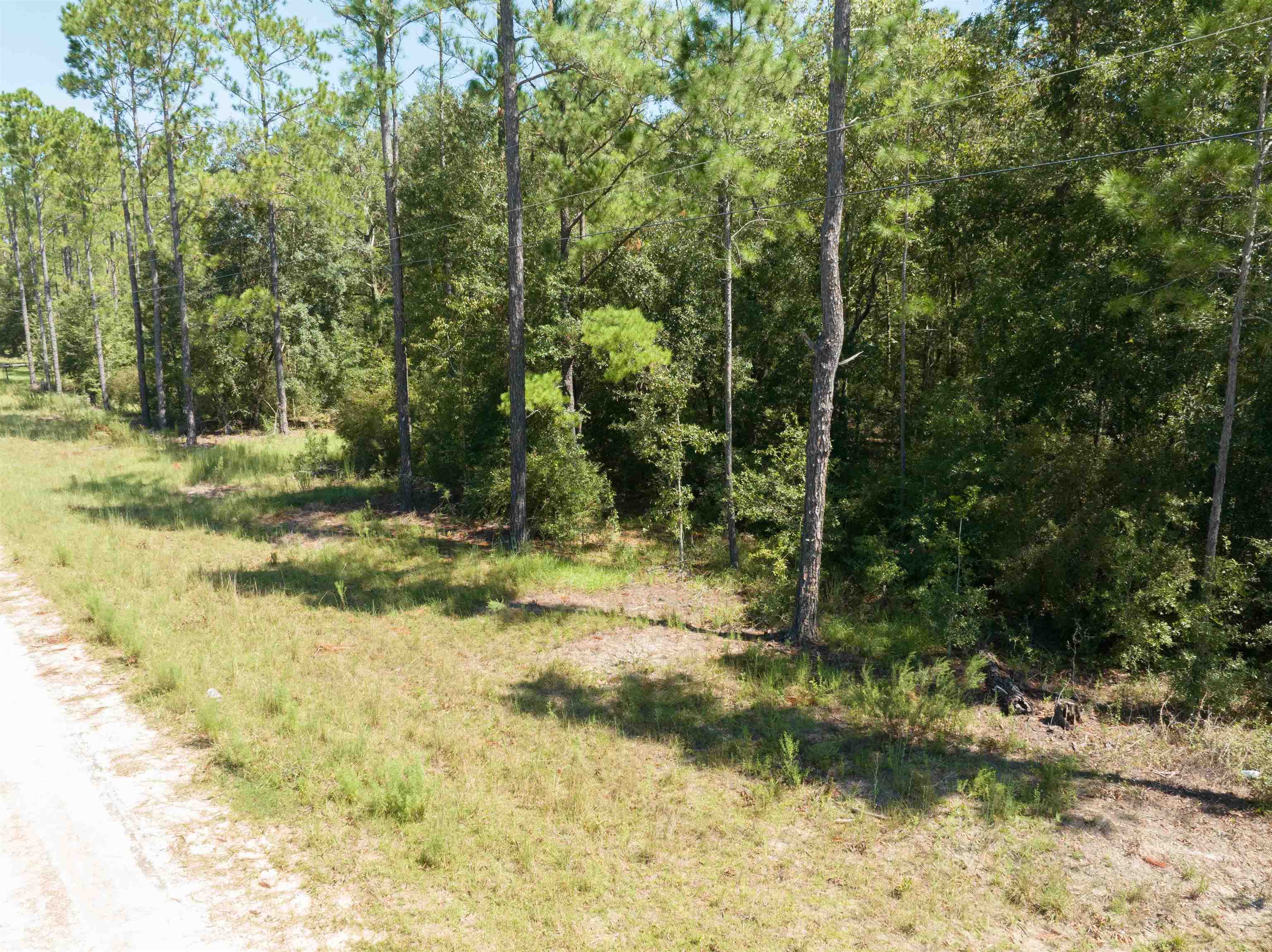 Vacant Blue Ridge Landing,LEE,Florida 32059,Lots and land,Blue Ridge Landing,363694