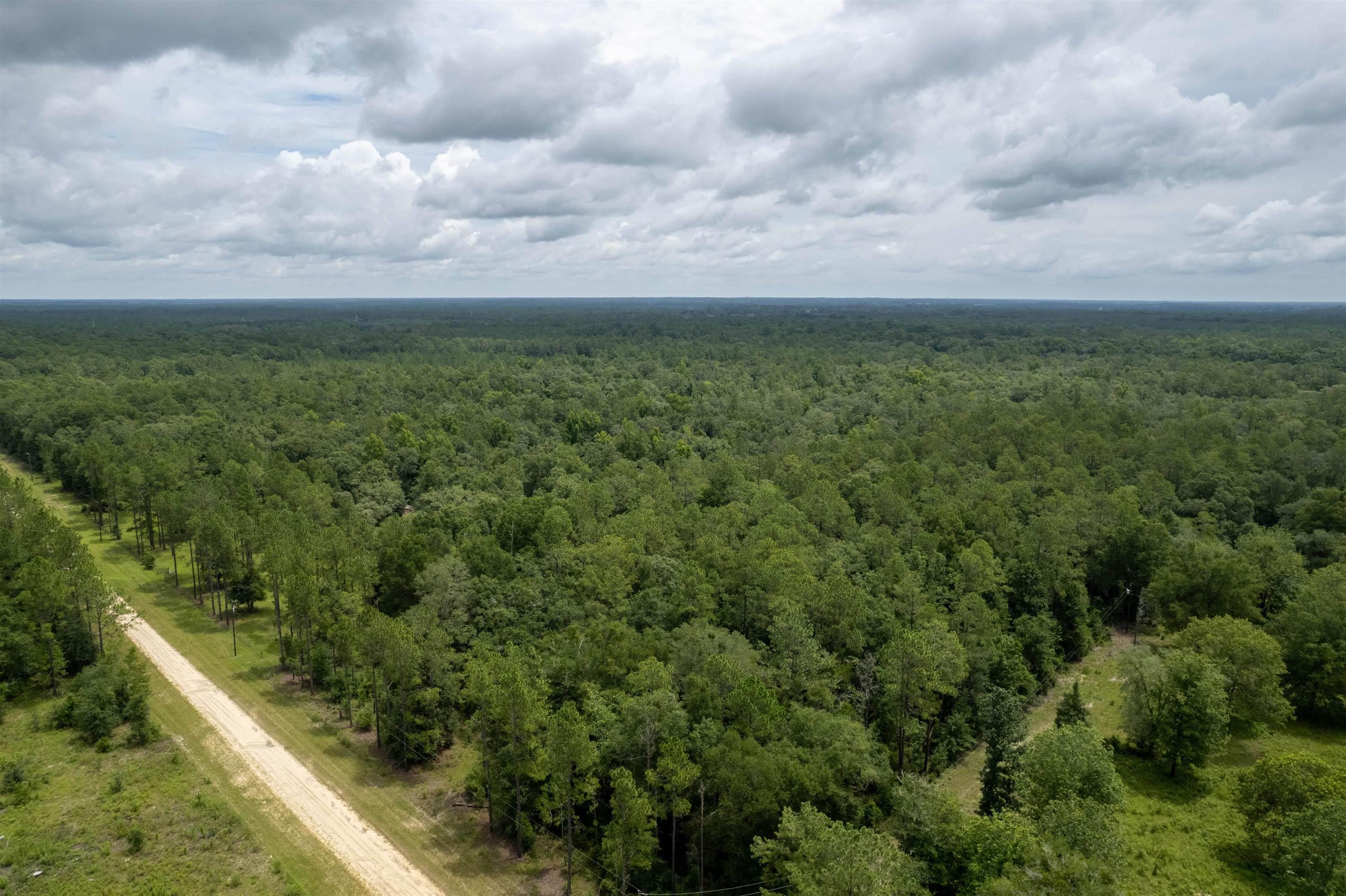 Vacant Blue Ridge Landing,LEE,Florida 32059,Lots and land,Blue Ridge Landing,363694