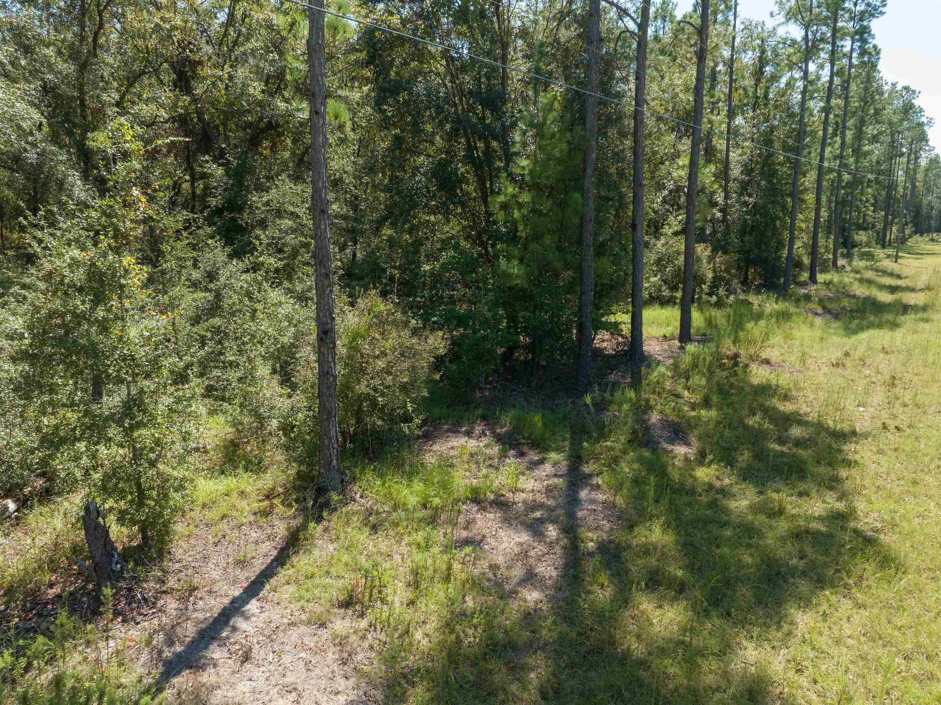 Vacant Blue Ridge Landing,LEE,Florida 32059,Lots and land,Blue Ridge Landing,363694