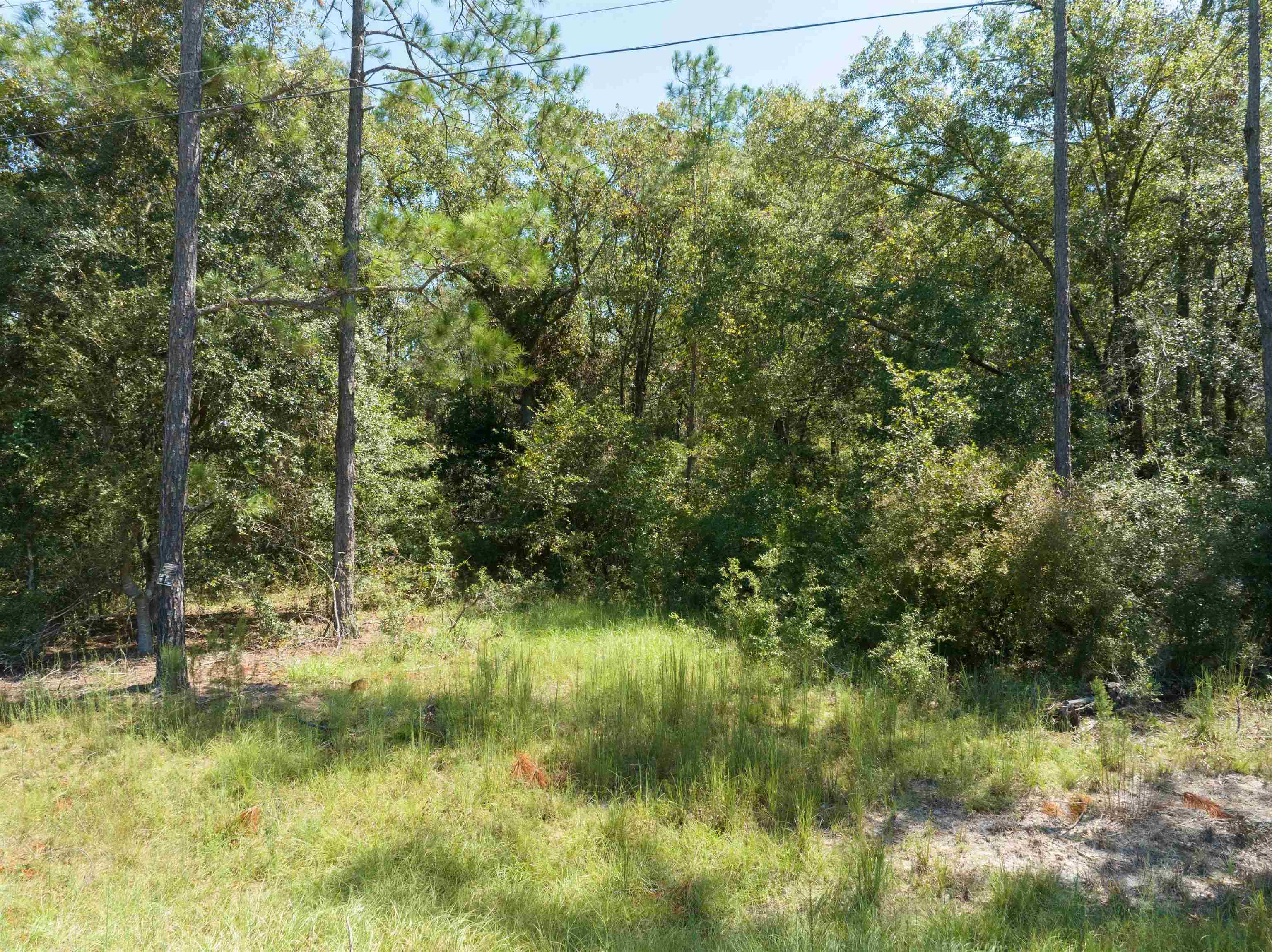 Vacant Blue Ridge Landing,LEE,Florida 32059,Lots and land,Blue Ridge Landing,363694