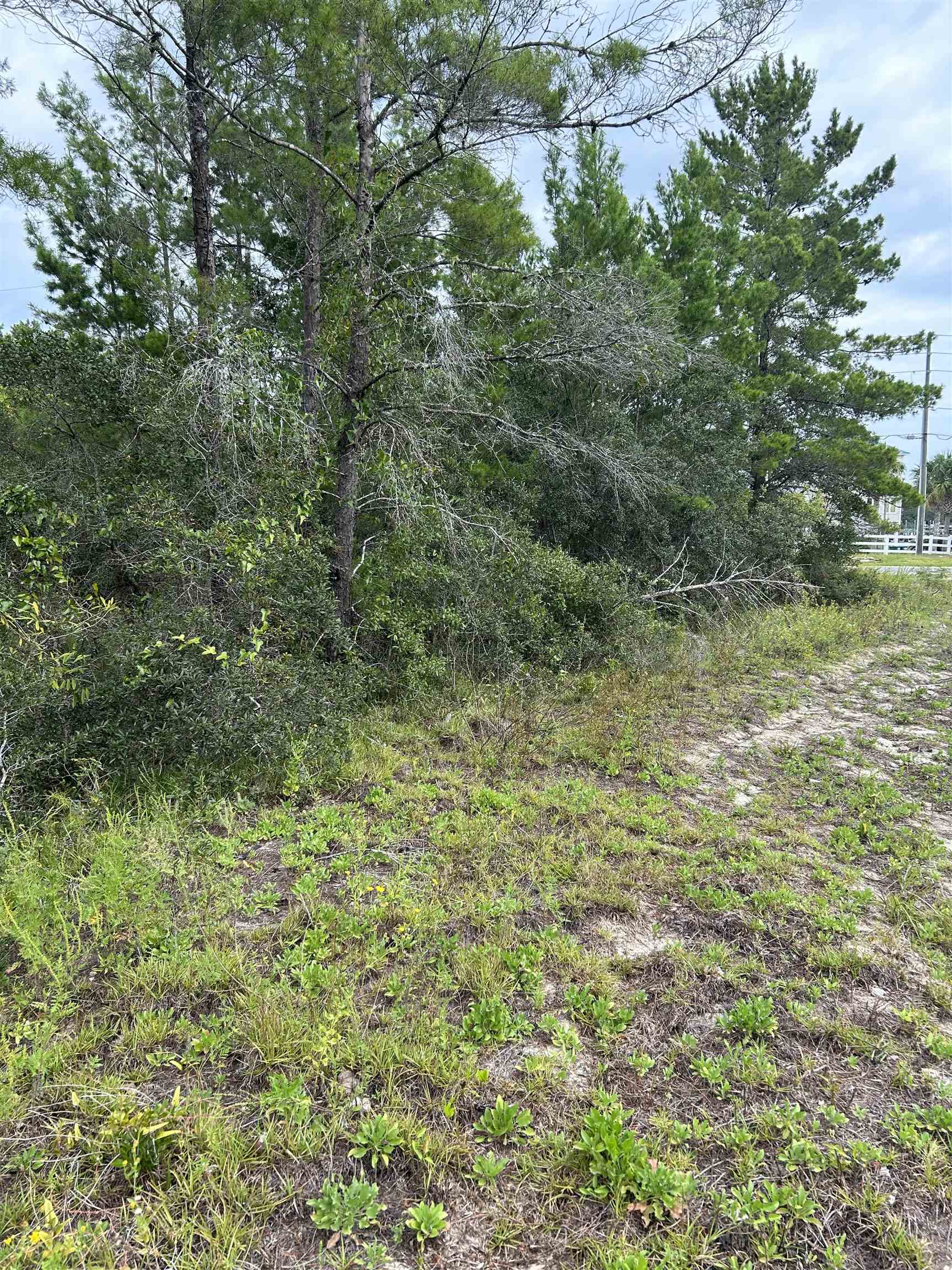 XXX River Road,CARRABELLE,Florida 32322,Lots and land,River Road,363719