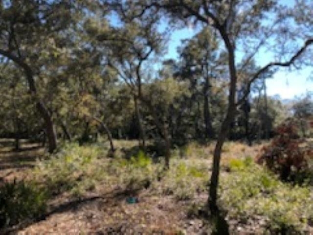 635 pine,ALLIGATOR POINT,Florida 32346,Lots and land,pine,367574