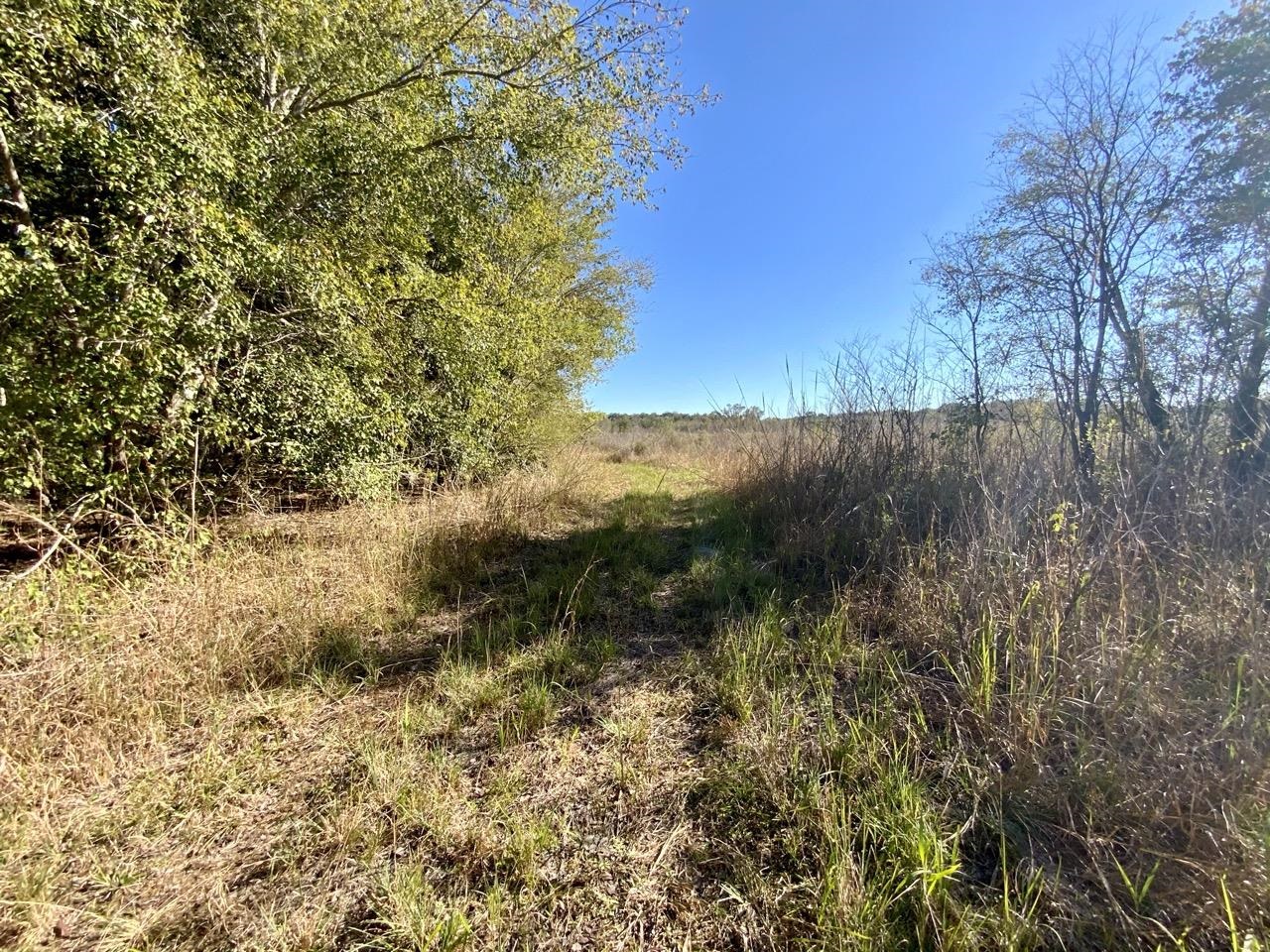 Vacant Bittersweet,MADISON COUNTY,Florida 32340,Lots and land,Bittersweet,367584